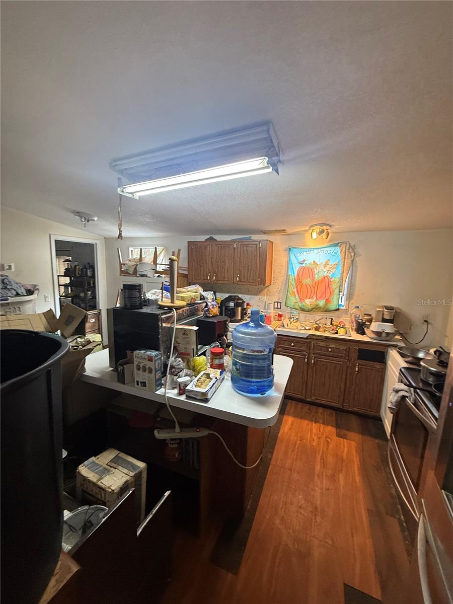 4439 AUTUMN PALM DR — photo 11
