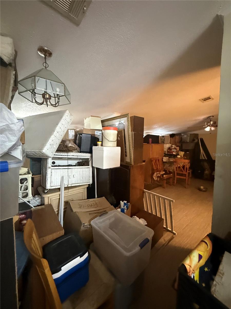 4439 AUTUMN PALM DR — photo 17