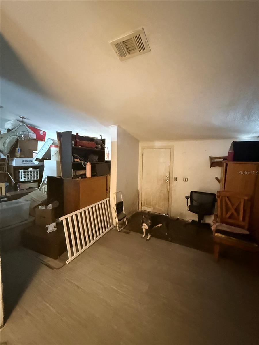 4439 AUTUMN PALM DR — photo 23