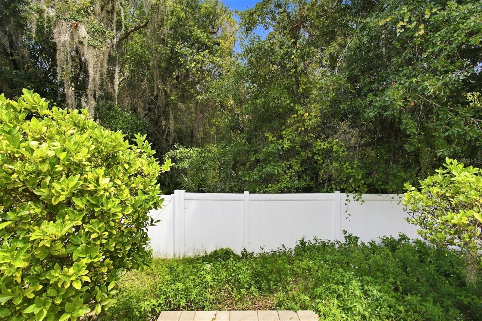 10637 LIBERTY BELL DR — photo 59