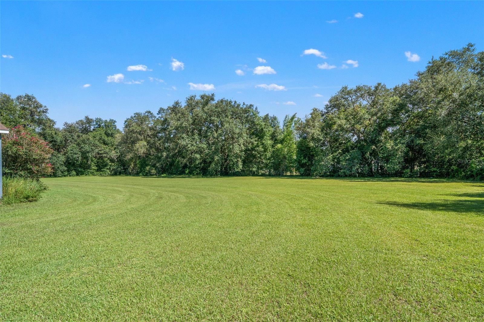 8512 HAMSTER DR — photo 44