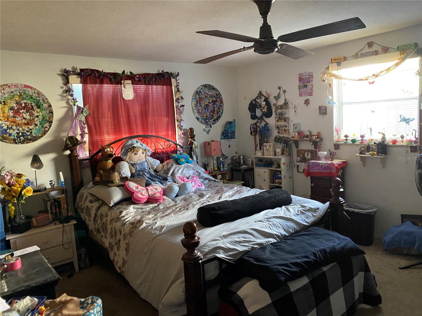 10018 CHERRY CREEK LN — photo 5