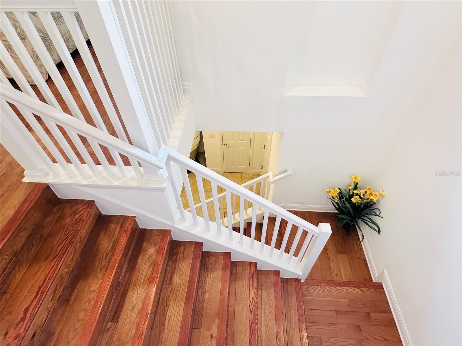10132 GRAND OAK CIR — photo 21