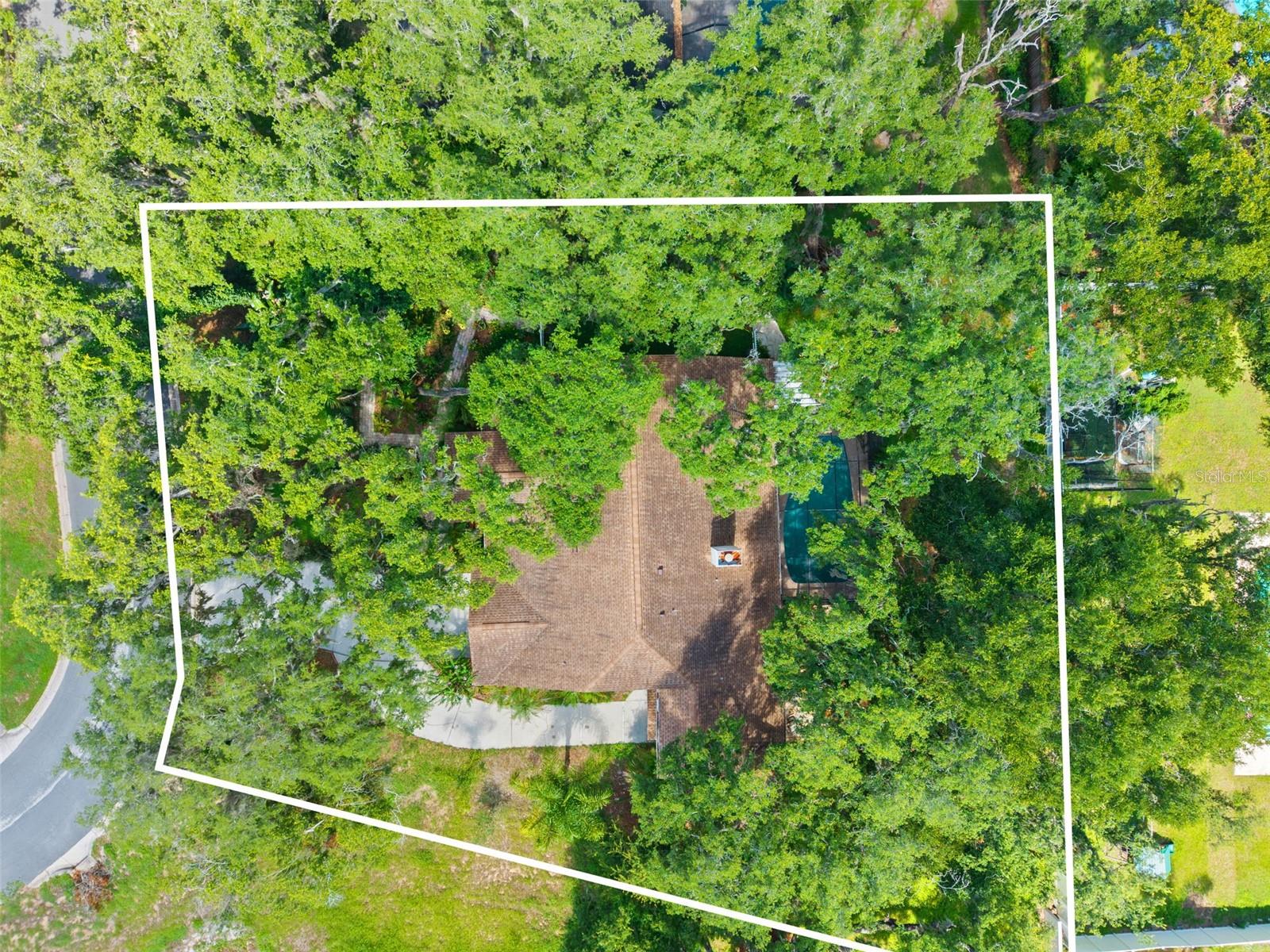 2770 BUCKHORN OAKS DR — photo 47