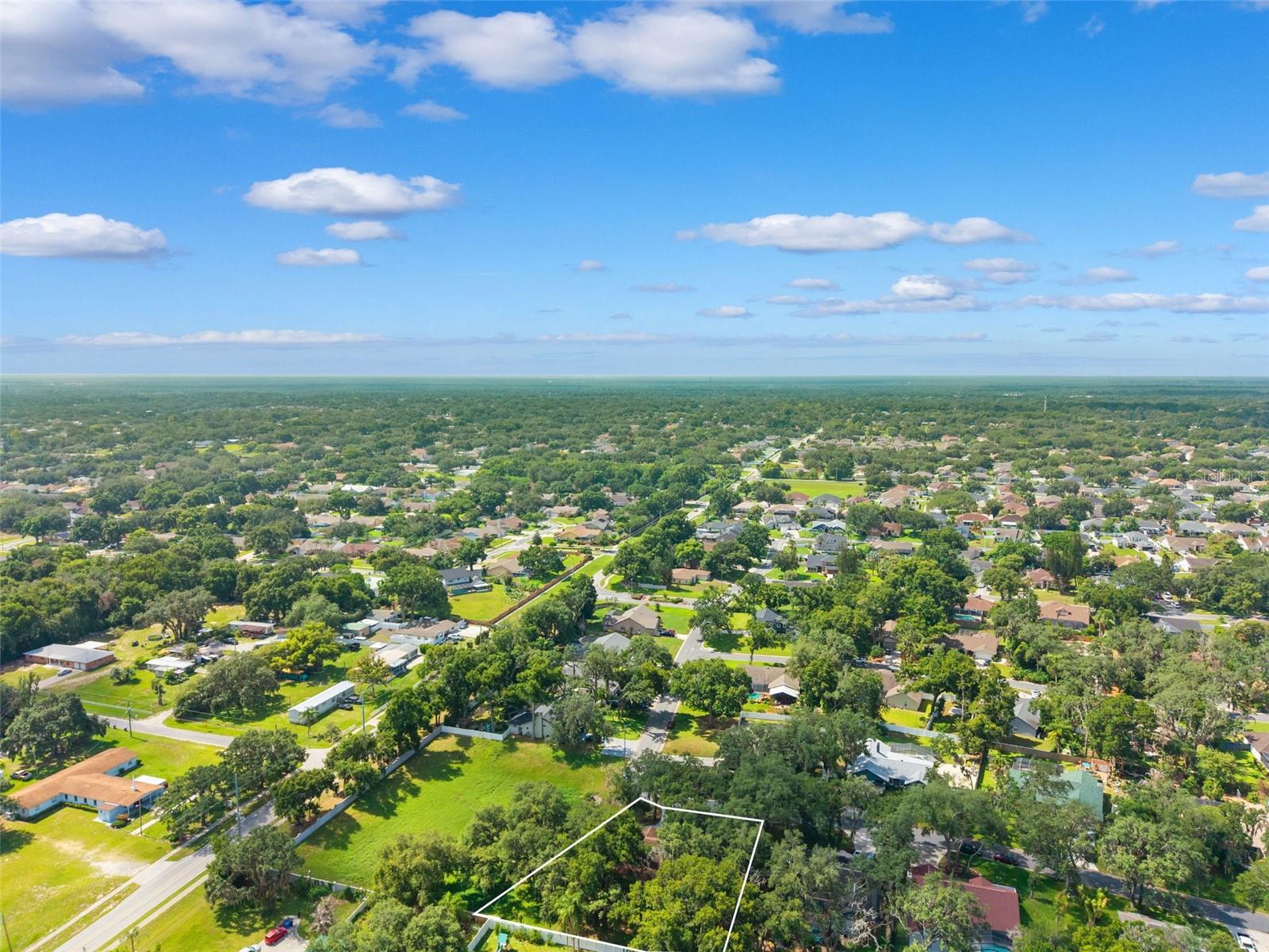2770 BUCKHORN OAKS DR — photo 50