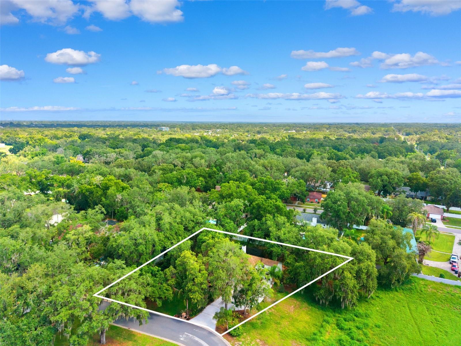 2770 BUCKHORN OAKS DR — photo 54