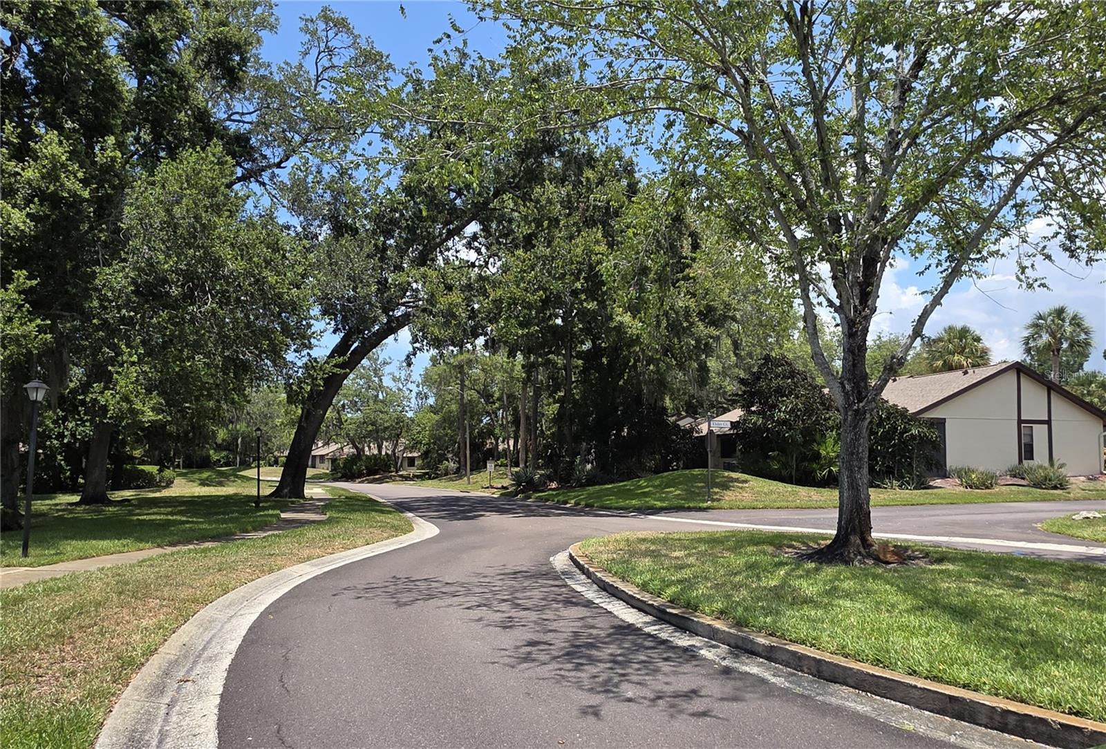 4045 BLUFF OAK CT — photo 29