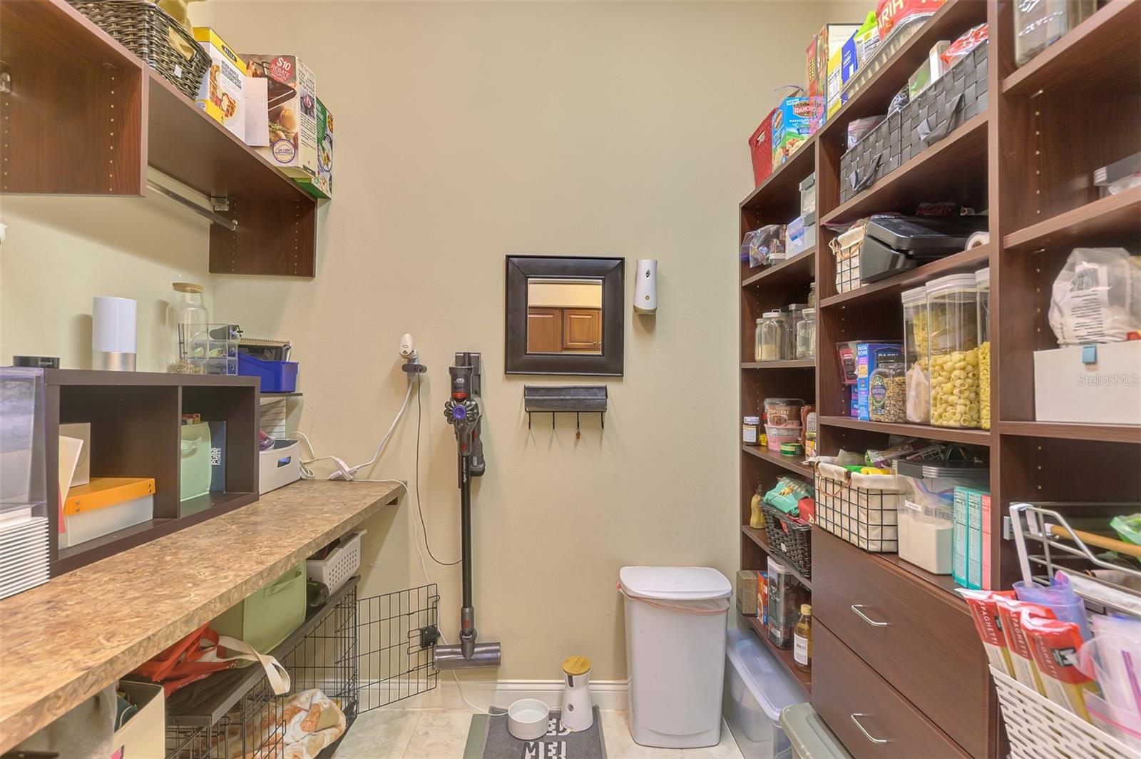 7767 ALISTER MACKENZIE DR — photo 56