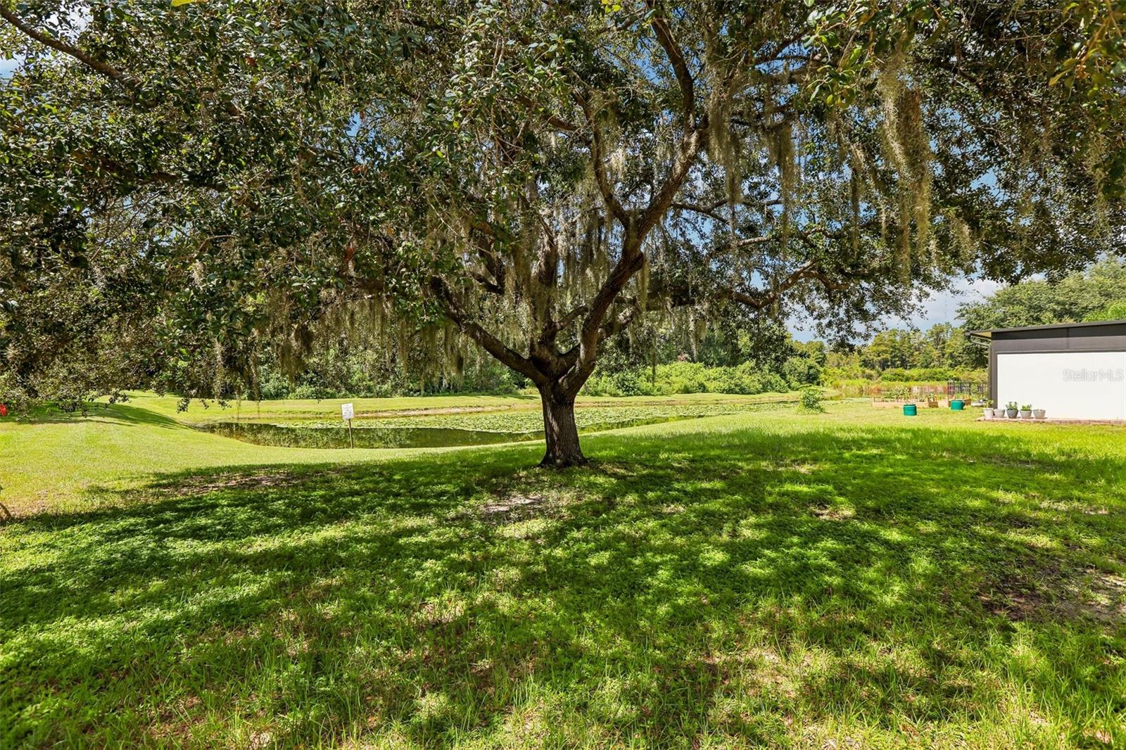 5903 CAPE LOOP — photo 40