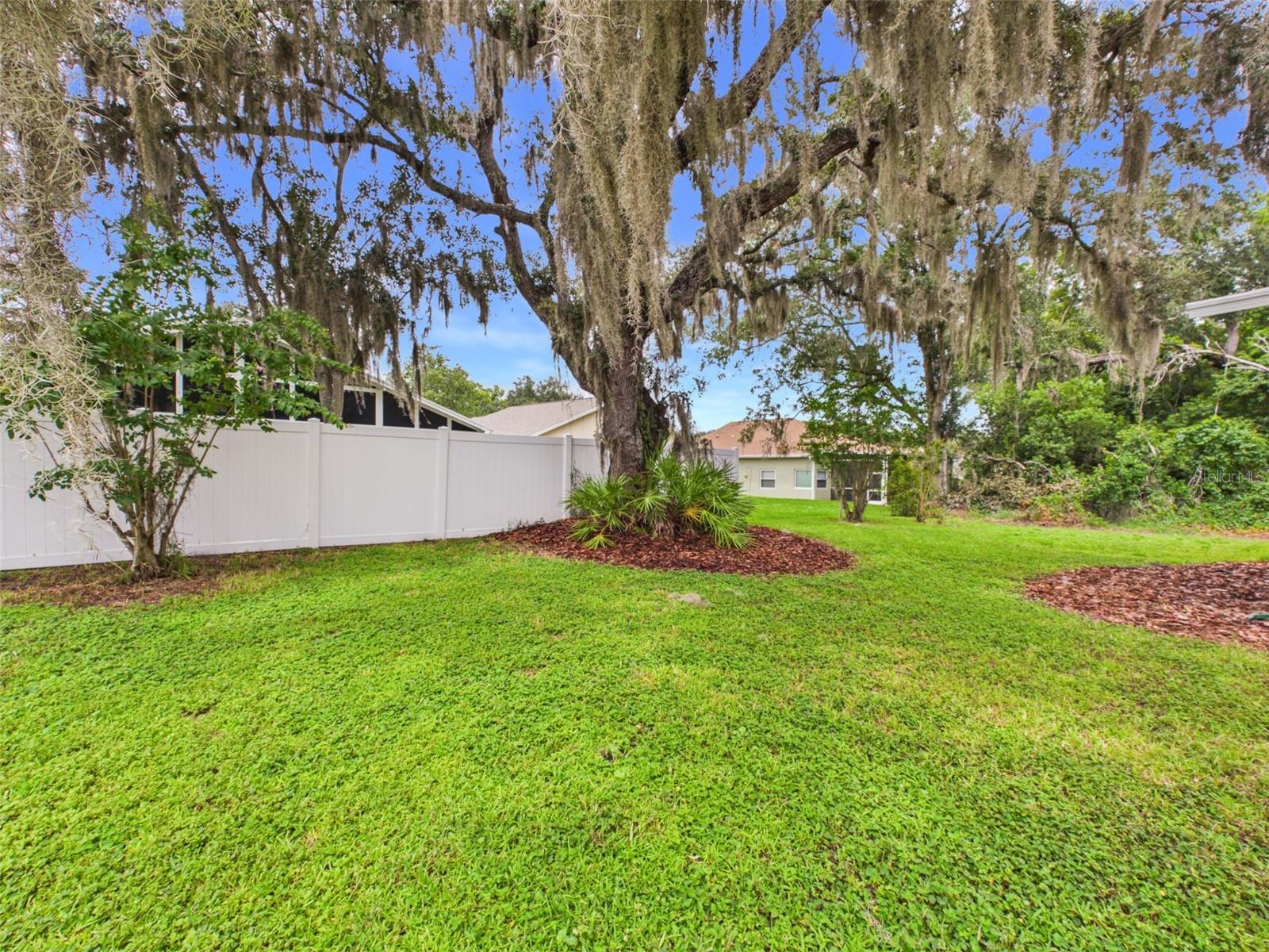 35601 WICKINGHAM CT — photo 3