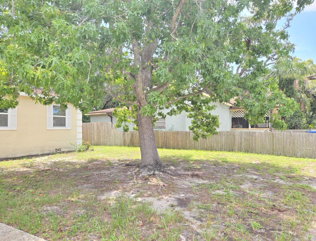 2304 KINGSTON ST S — photo 5