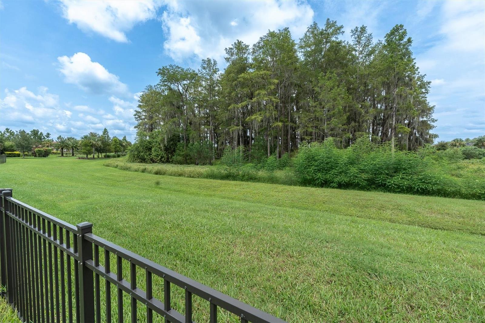 3142 FRANCOA DR — photo 43