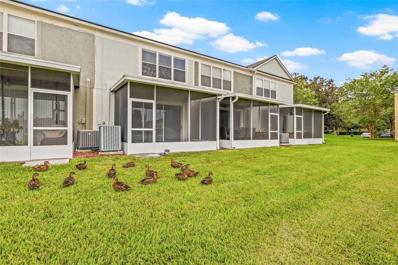 4879 POND RIDGE DR — photo 43