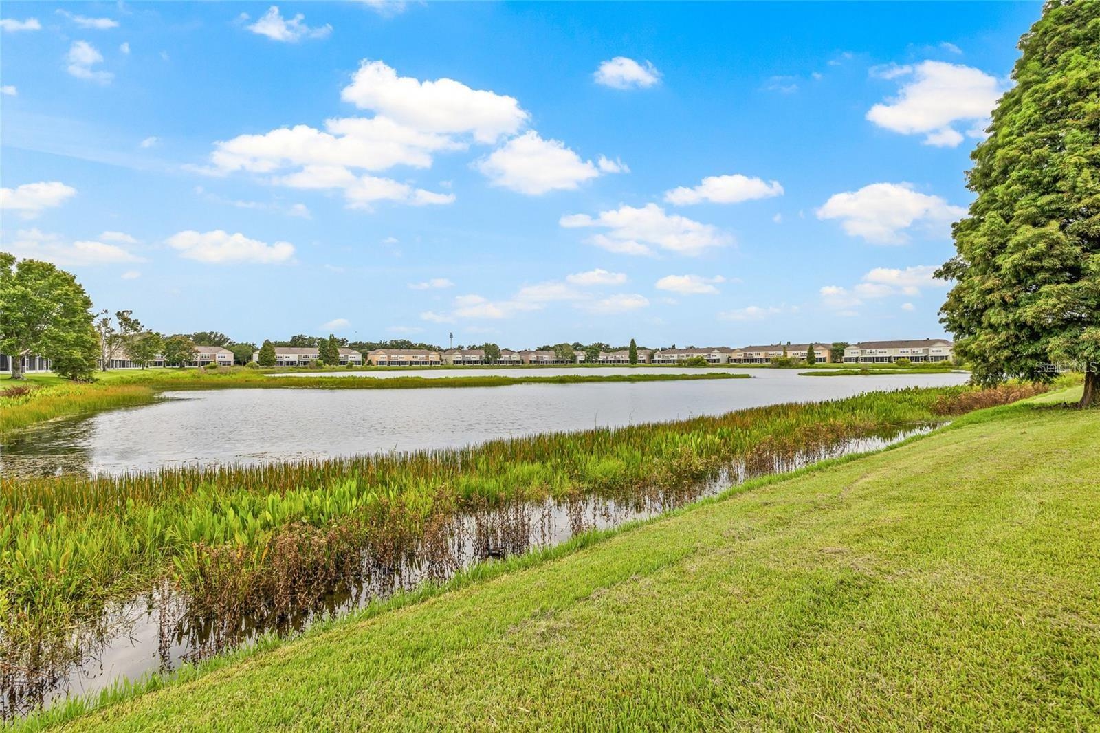 4879 POND RIDGE DR — photo 42