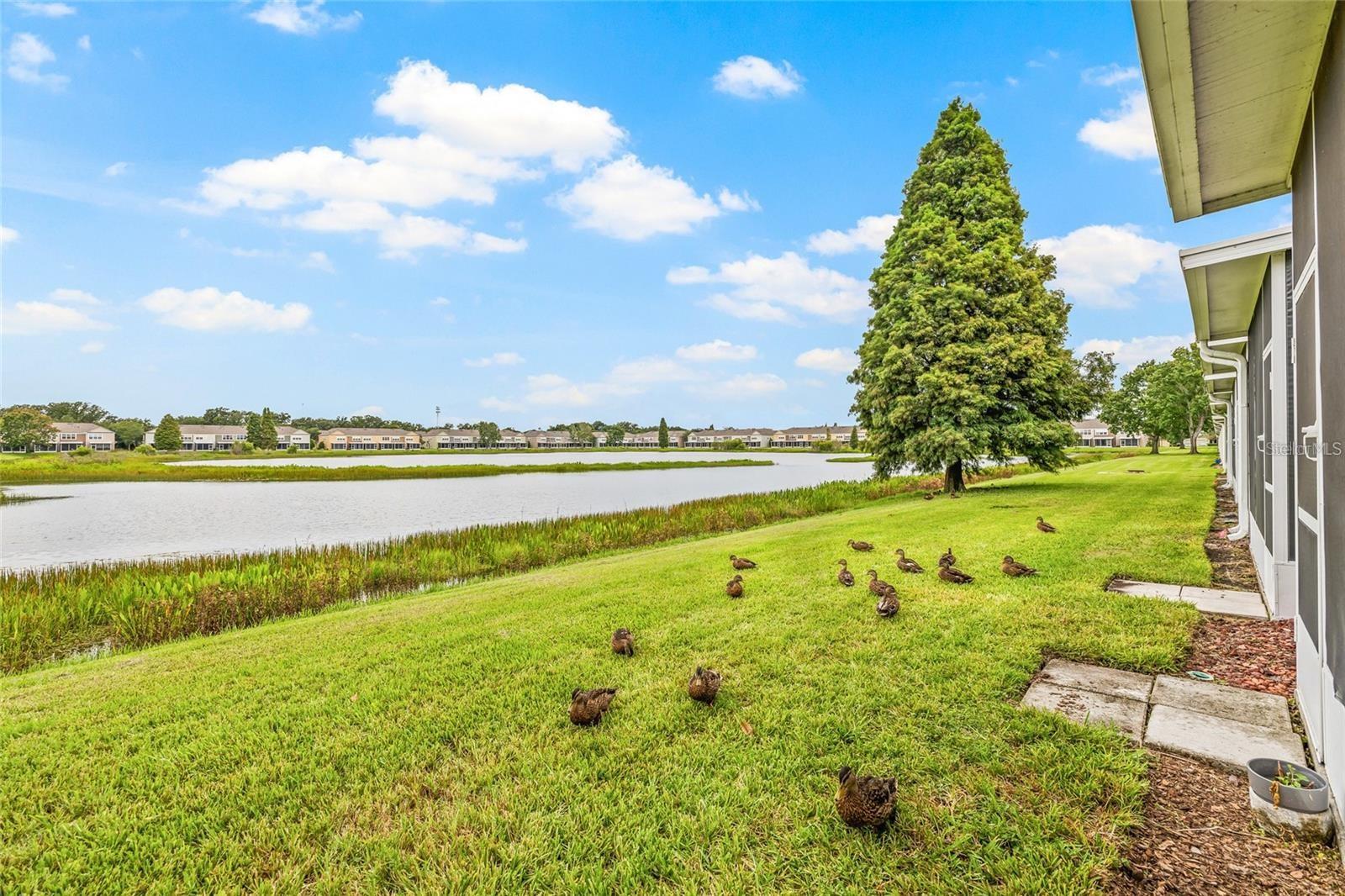 4879 POND RIDGE DR — photo 40