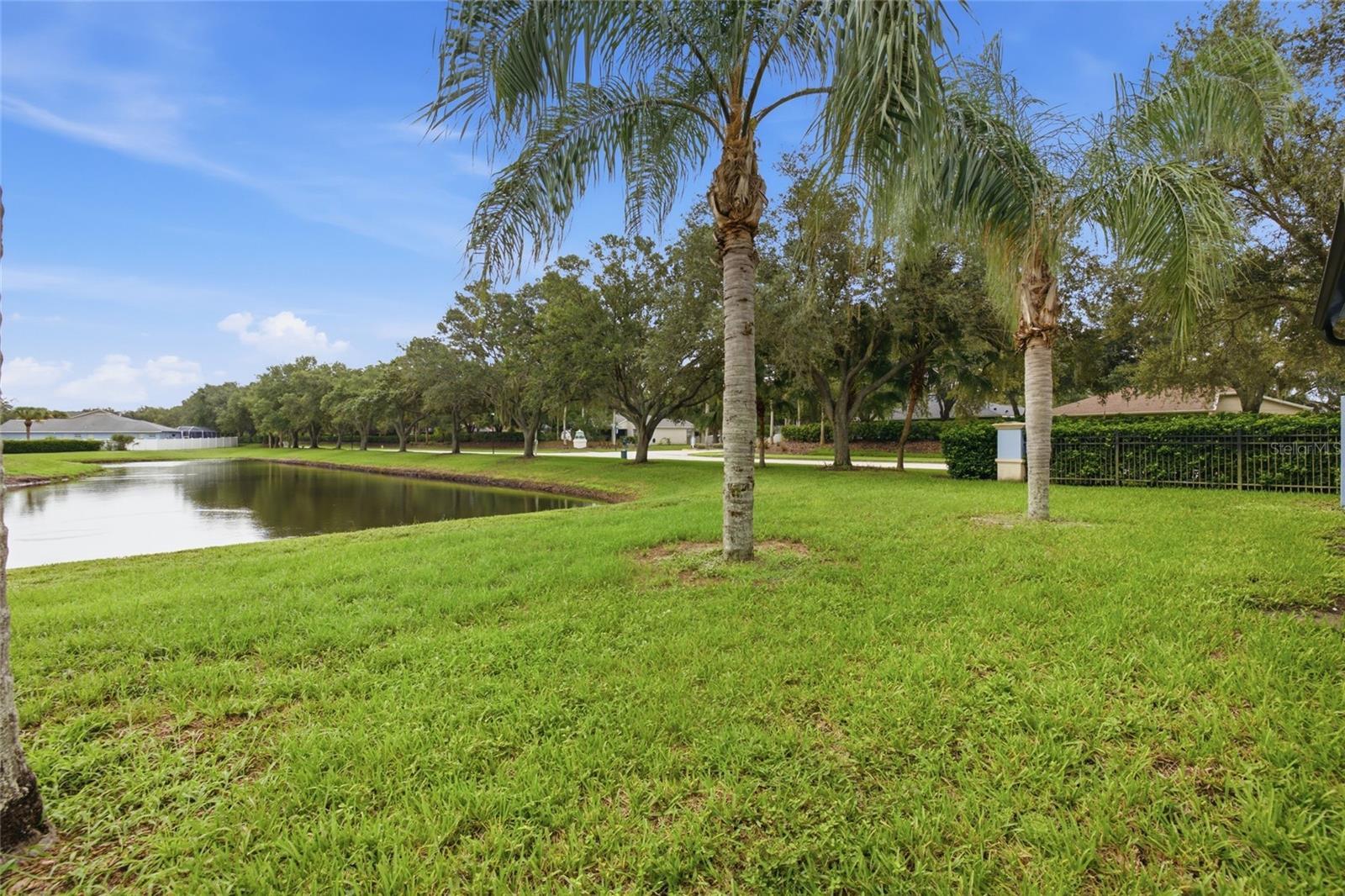 11009 WINTER CREST DR — photo 25