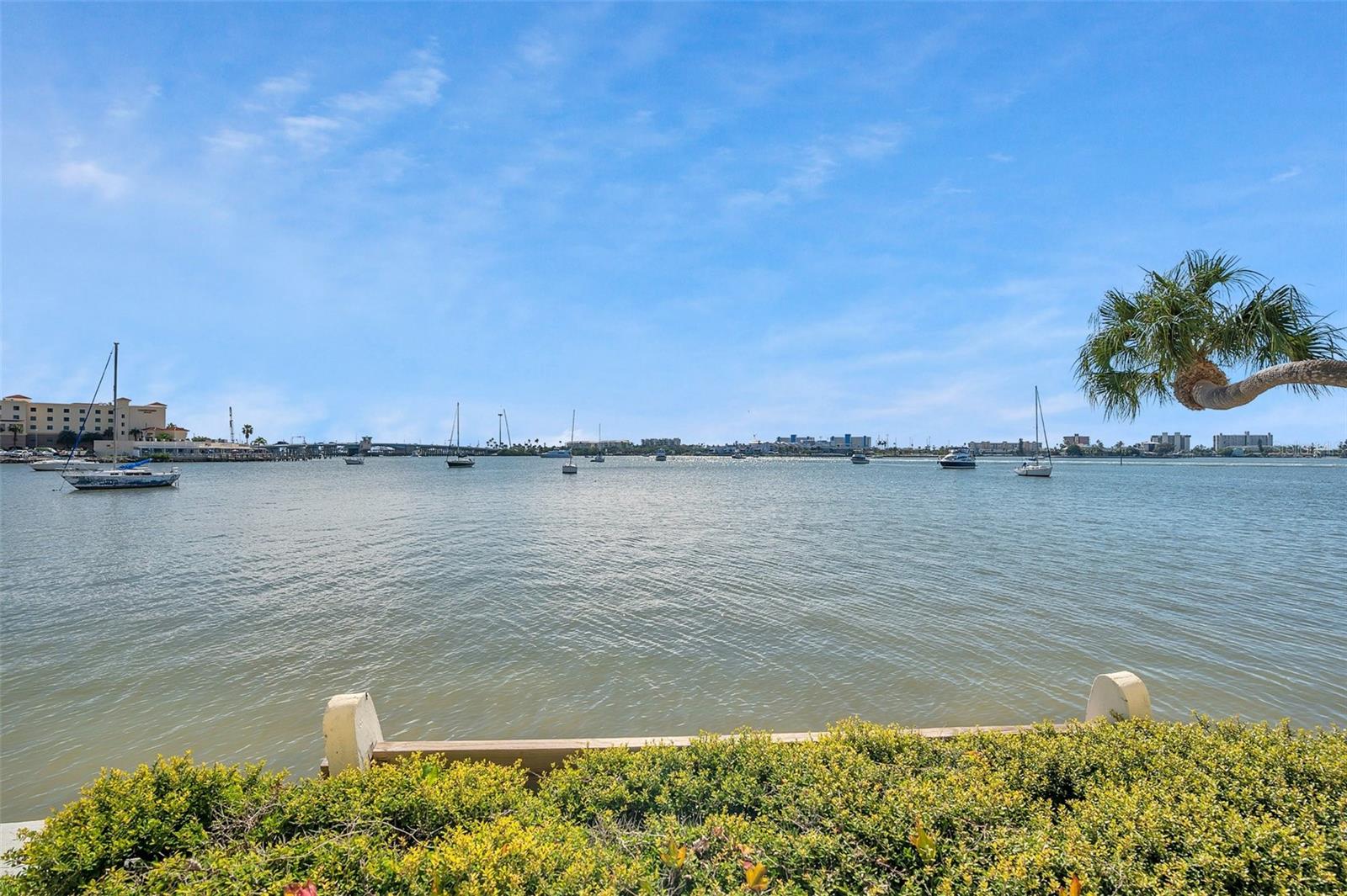 4550 COVE CIR #1009 — photo 45