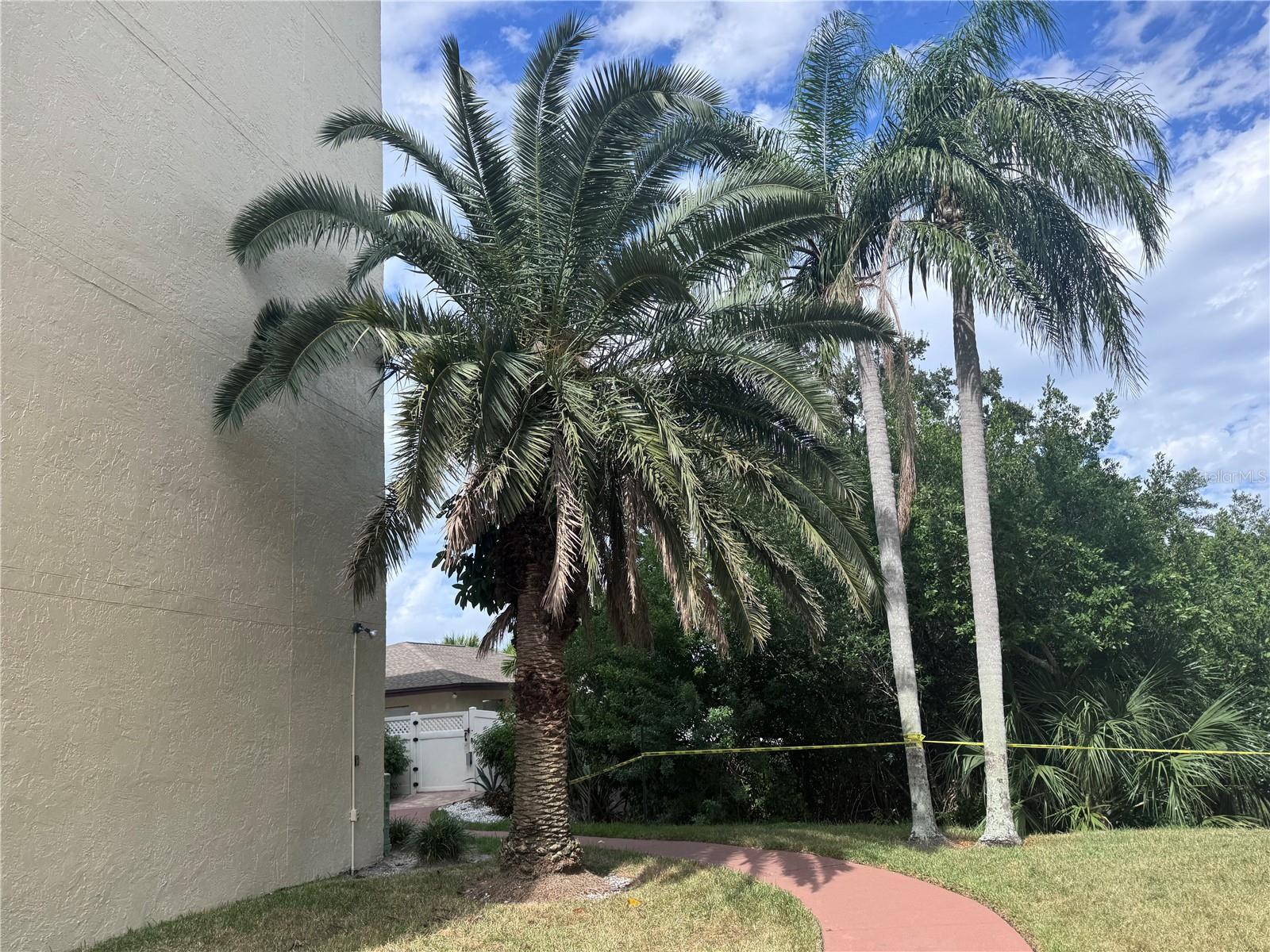 800 COVE CAY DR #5D — photo 34