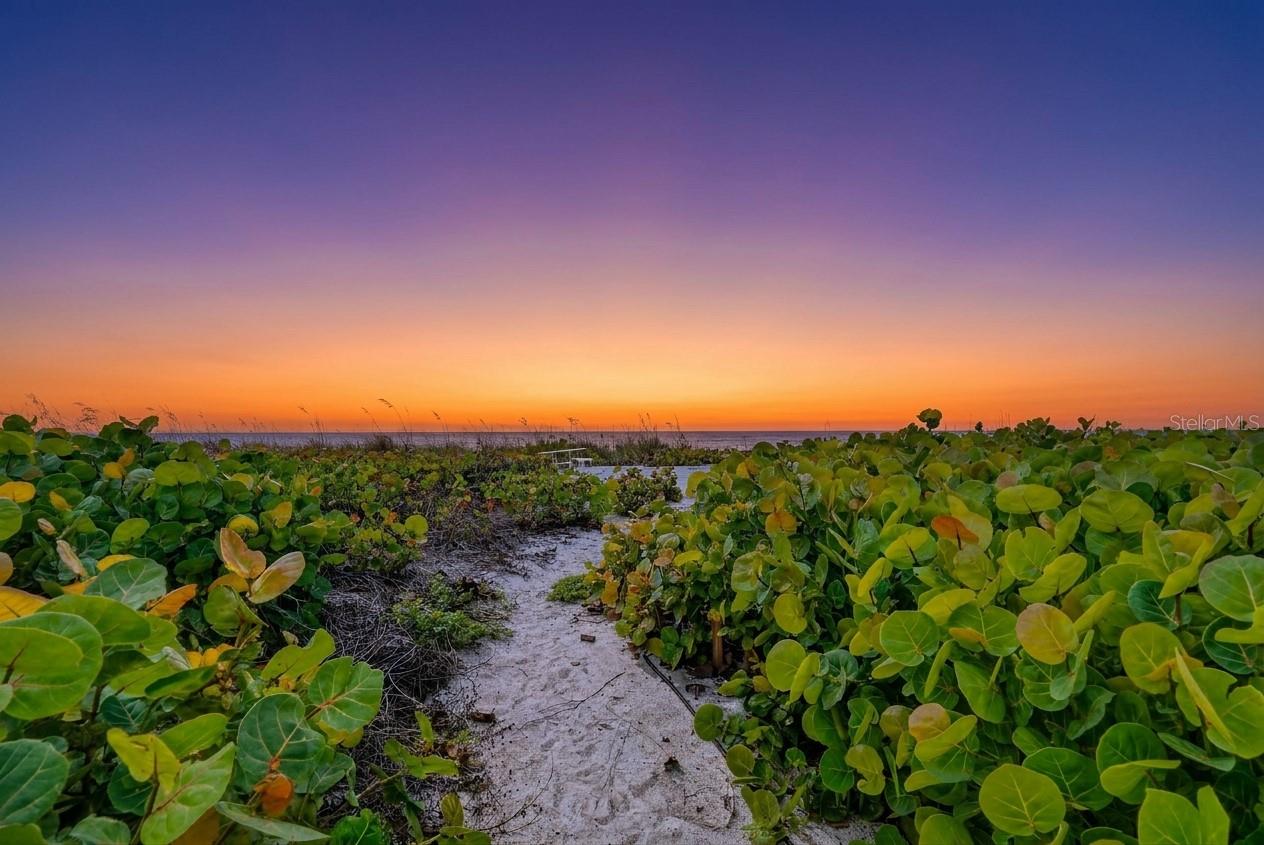Home in LONGBOAT KEY — photo 47