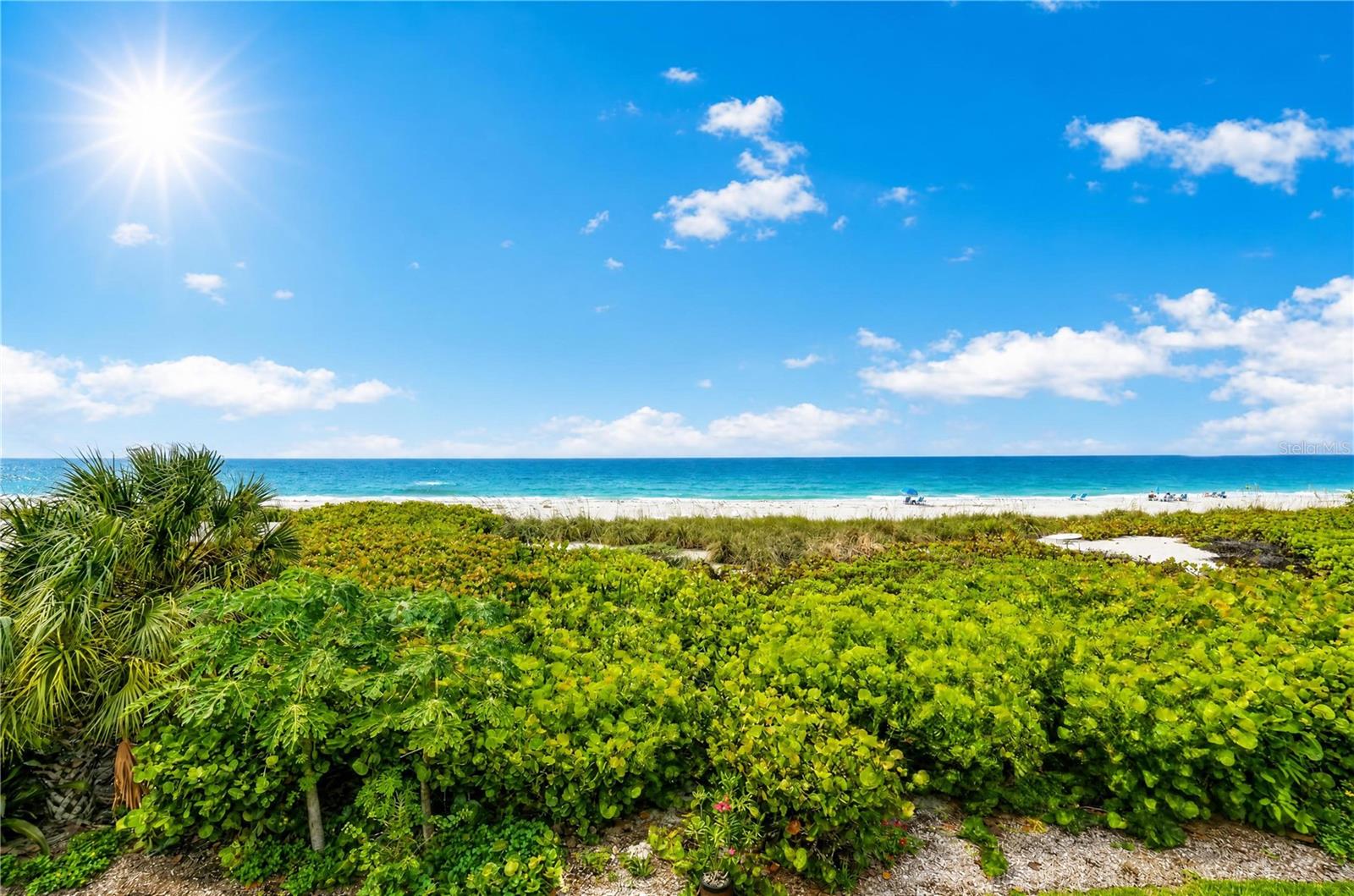 Home in LONGBOAT KEY — photo 17