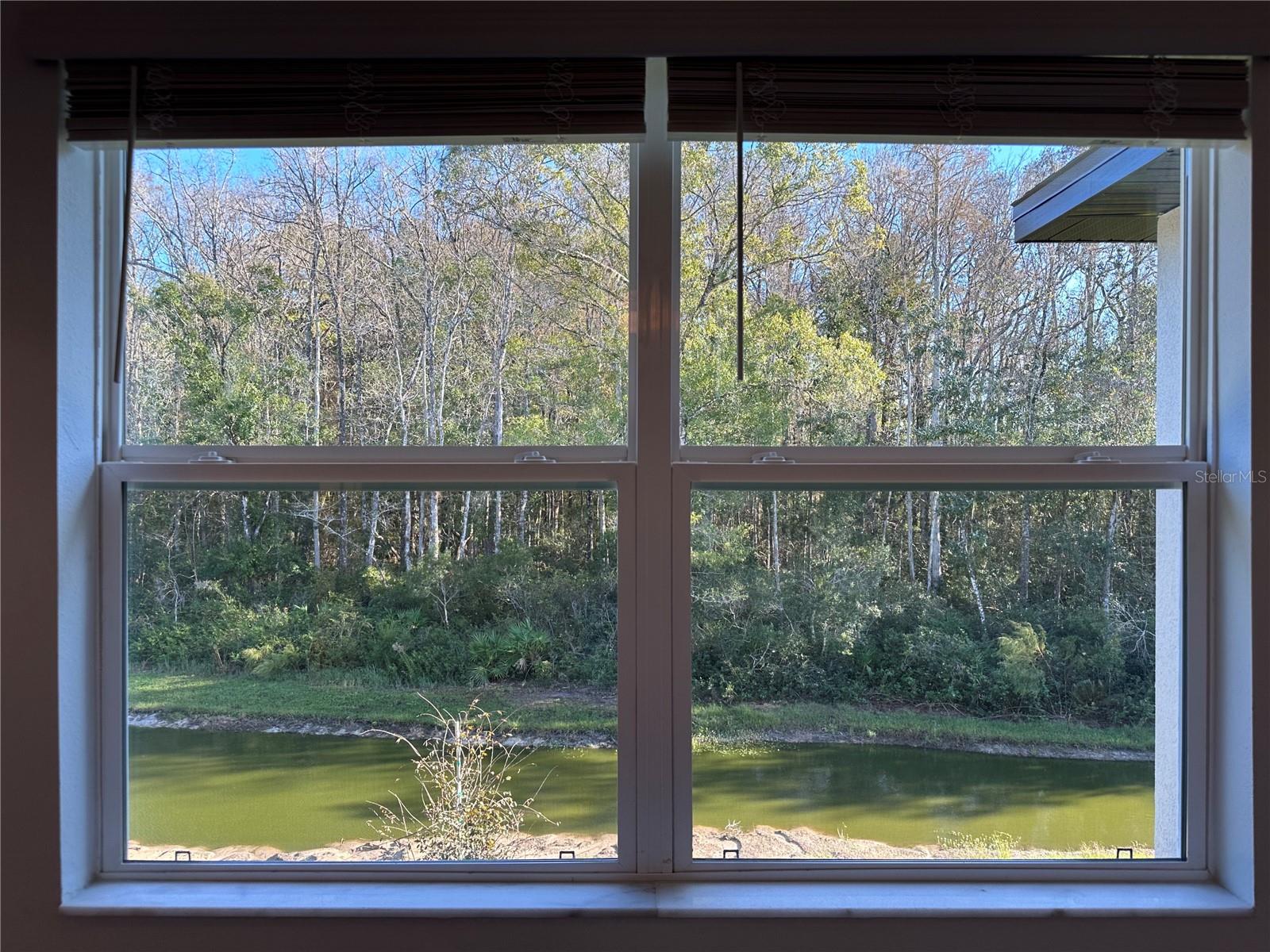 17437 NECTAR FLUME DR — photo 13