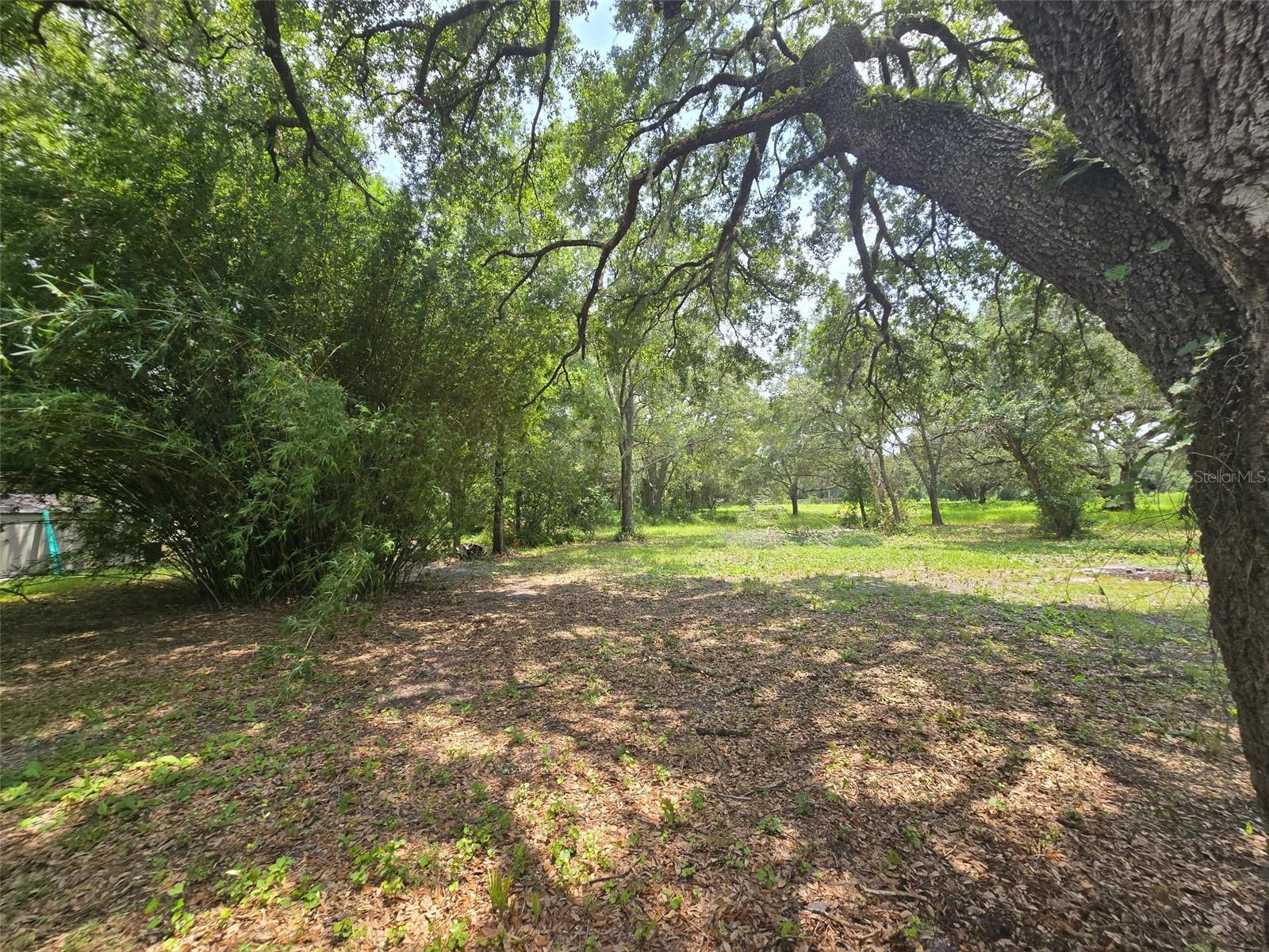 27133 MILLER RD — photo 21