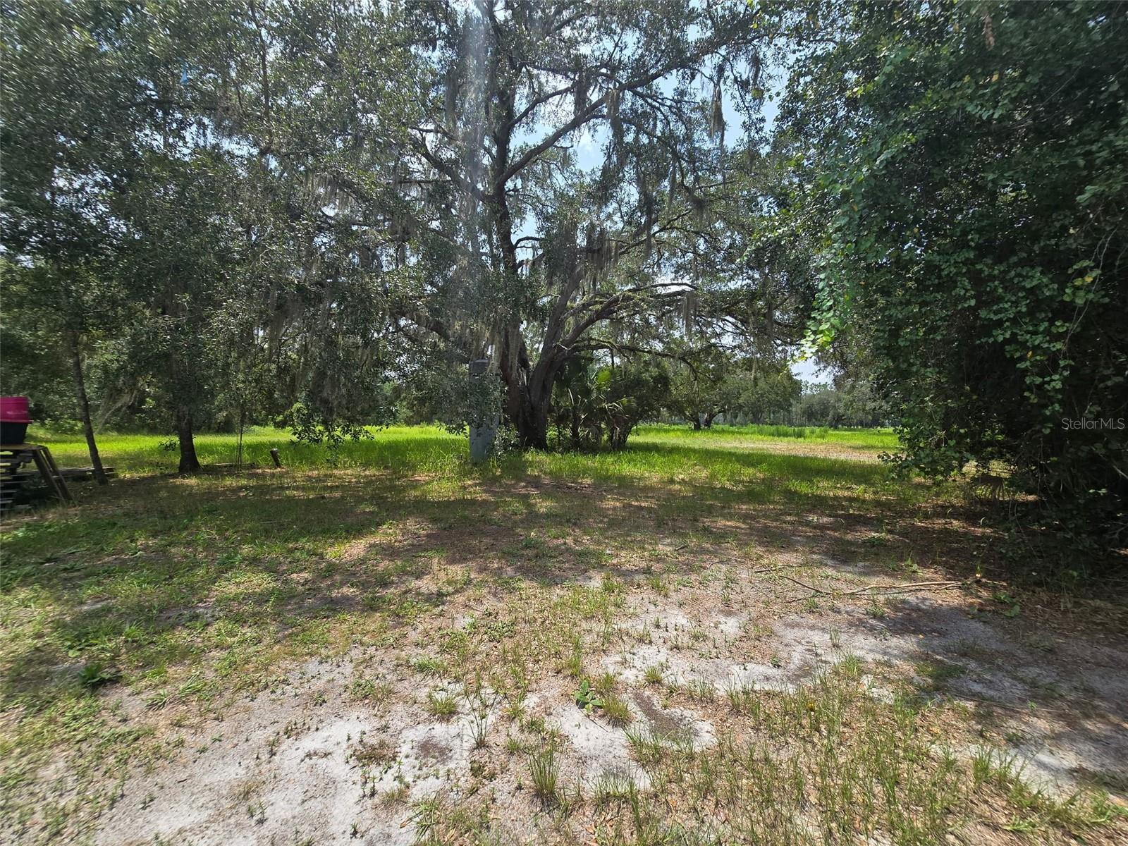 27133 MILLER RD — photo 24