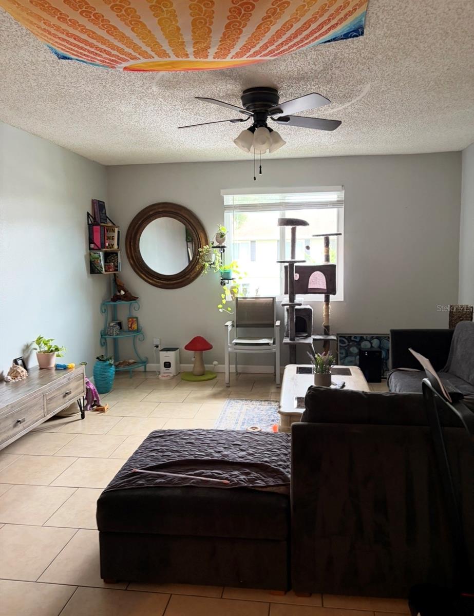 245 RED MAPLE PL — photo 5