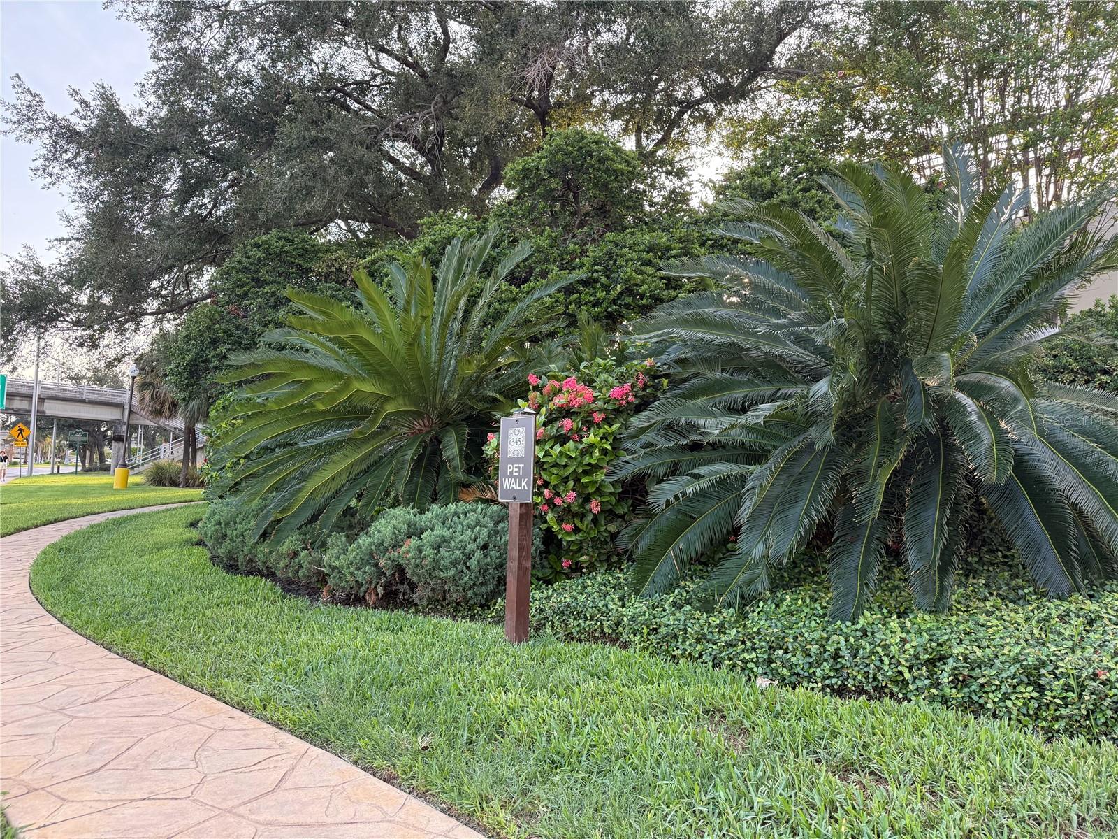 345 BAYSHORE BLVD #1102 — photo 38
