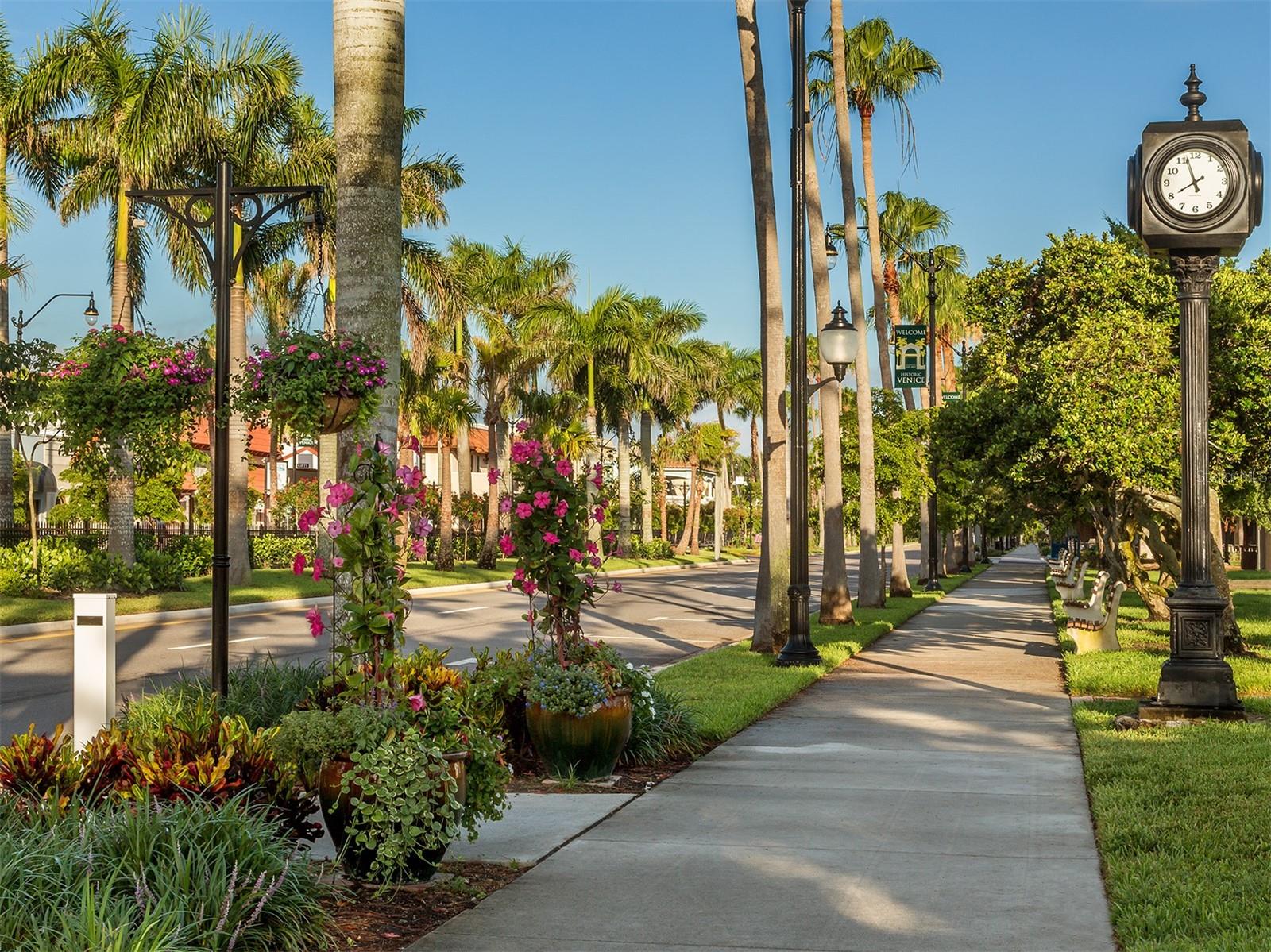 151 COCO PALM DR — photo 38