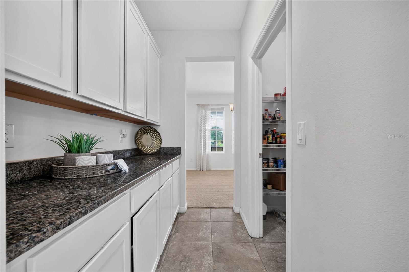 6541 DEVESTA LOOP — photo 19