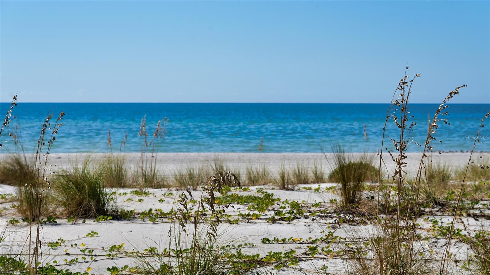 2089 GULF OF MEXICO DR #G1-104 — photo 47