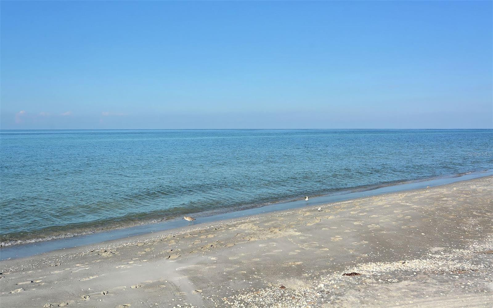 2089 GULF OF MEXICO DR #G1-104 — photo 57