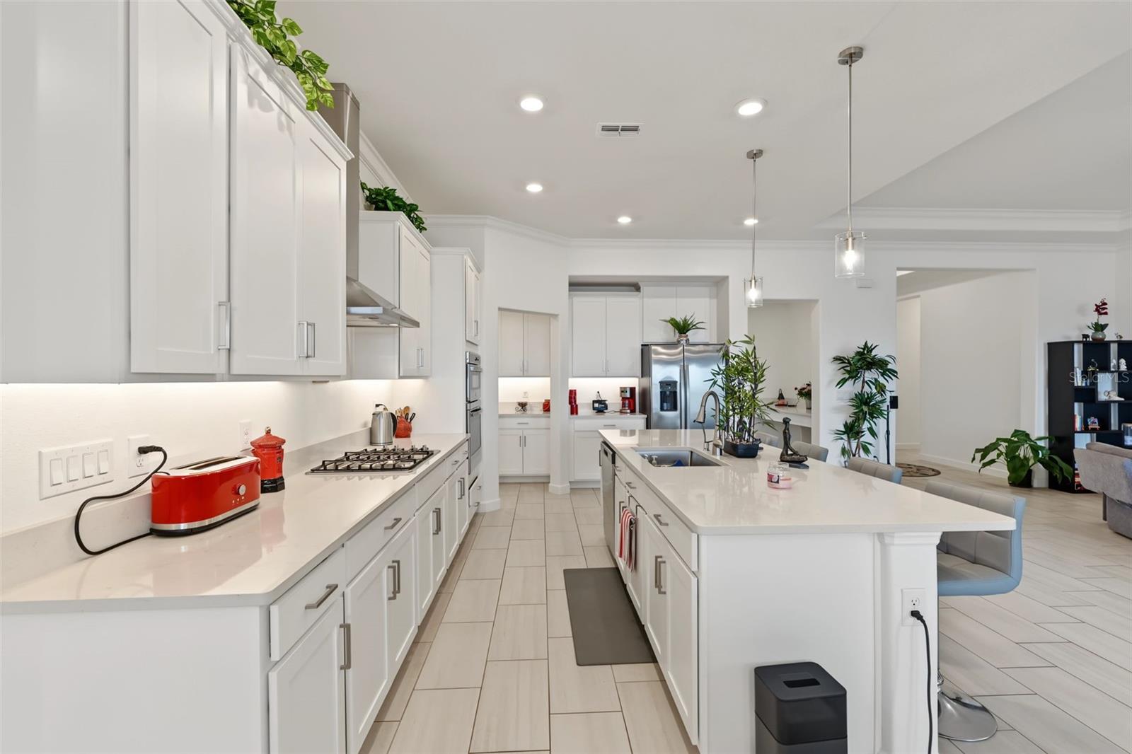 17109 STAR BANKS ST — photo 11