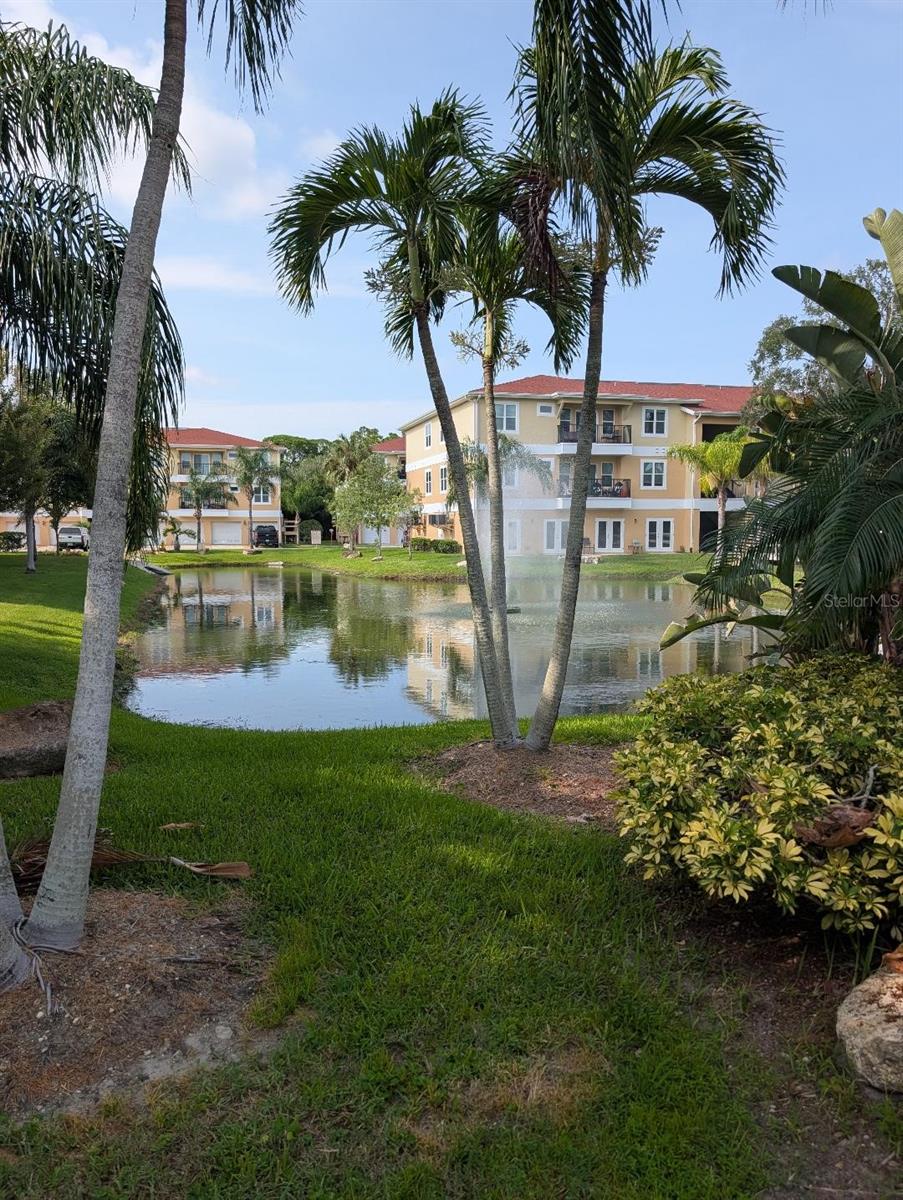 6420 BANYAN BLVD #203 — photo 38