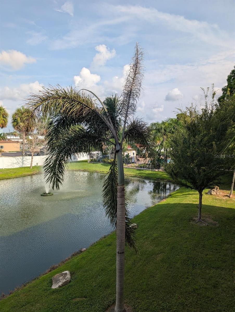 6420 BANYAN BLVD #203 — photo 40