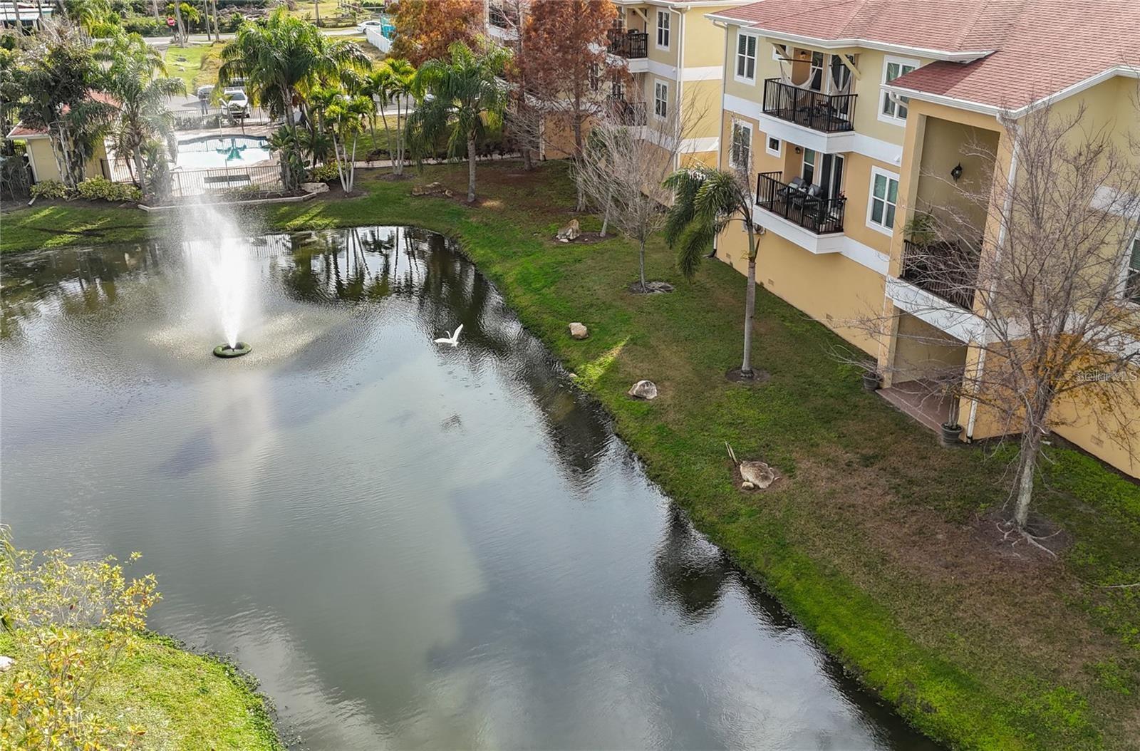 6420 BANYAN BLVD #203 — photo 28
