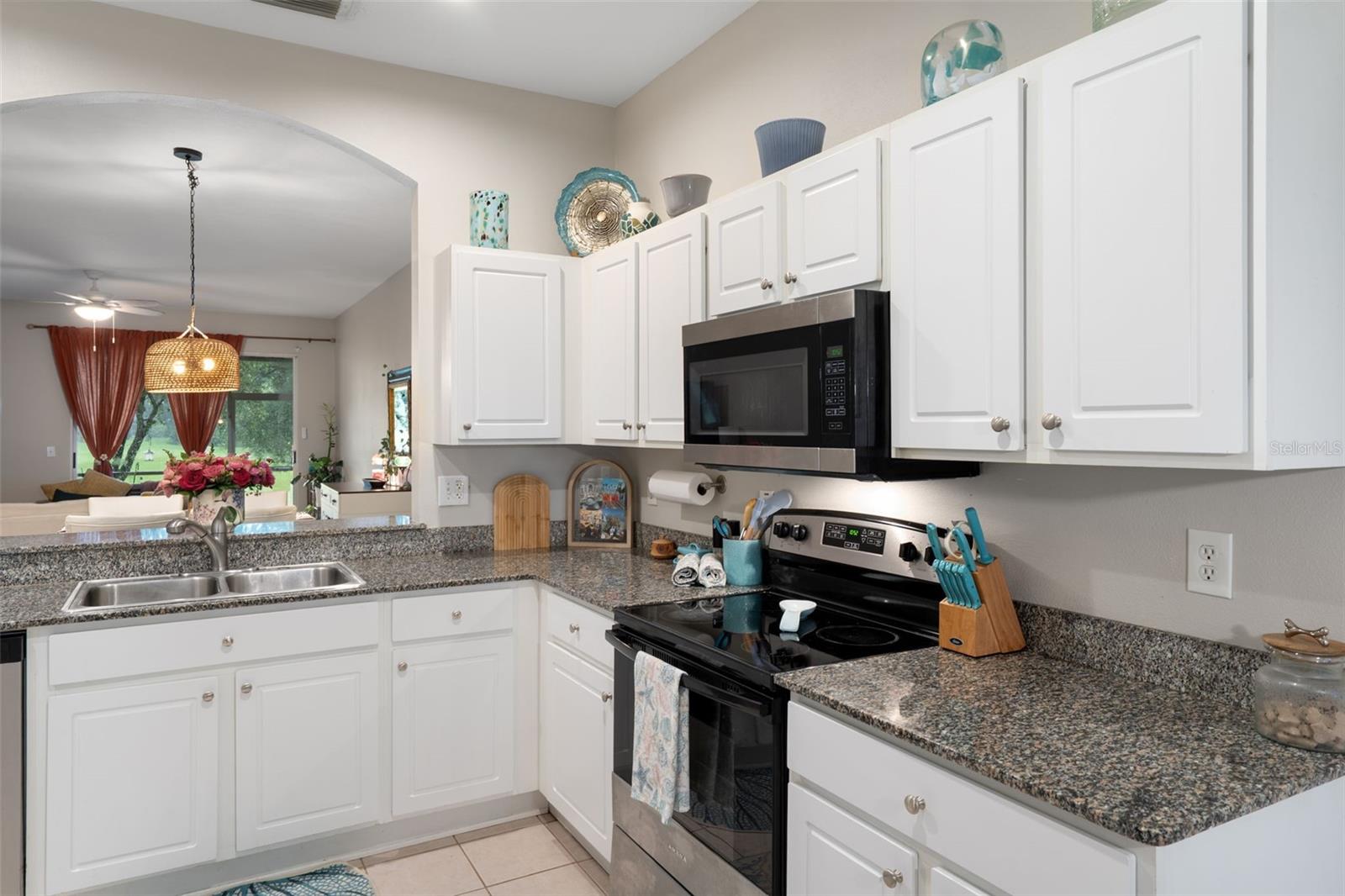 18105 NASSAU POINT DR — photo 15