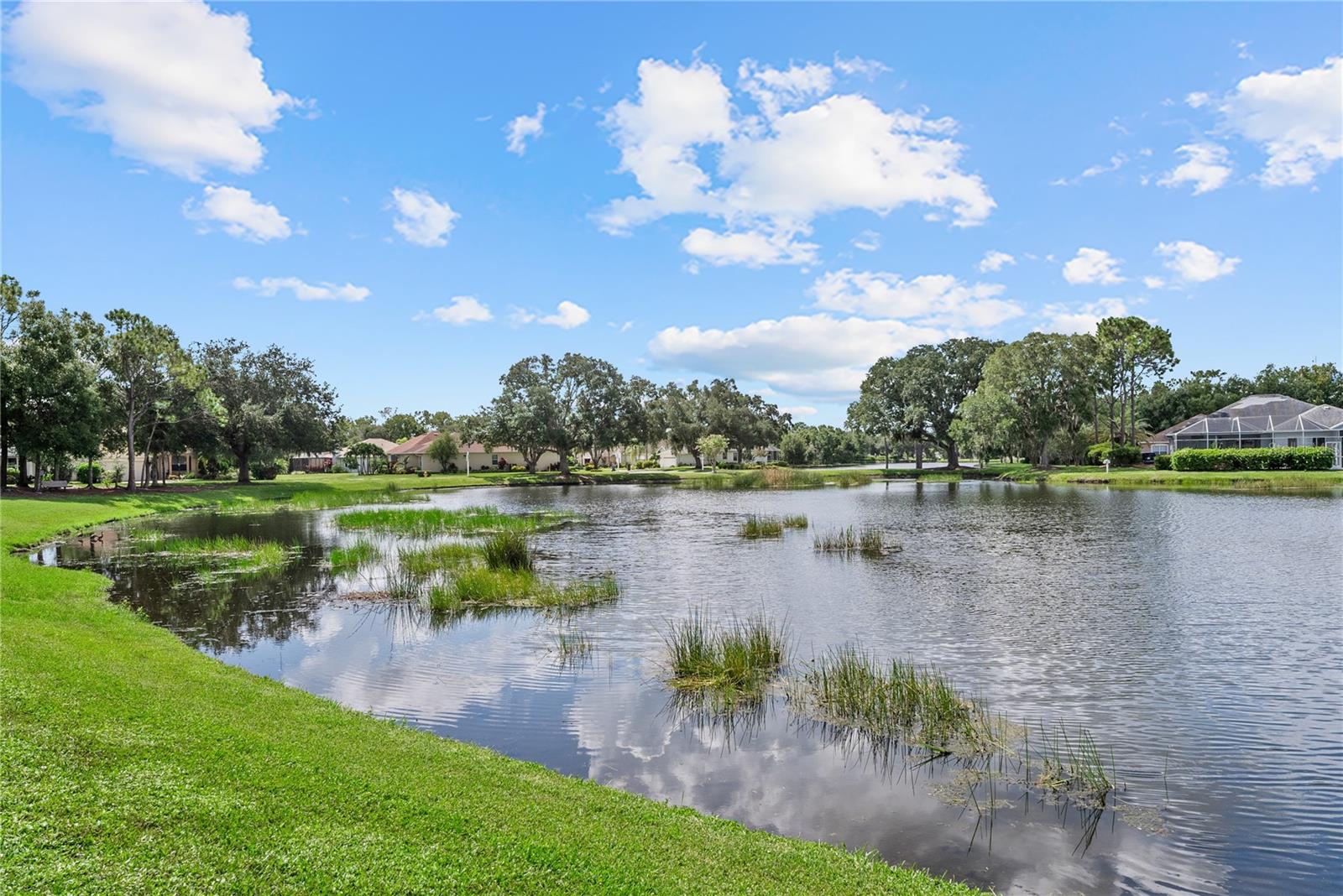 11326 BLUE SAGE PL — photo 4