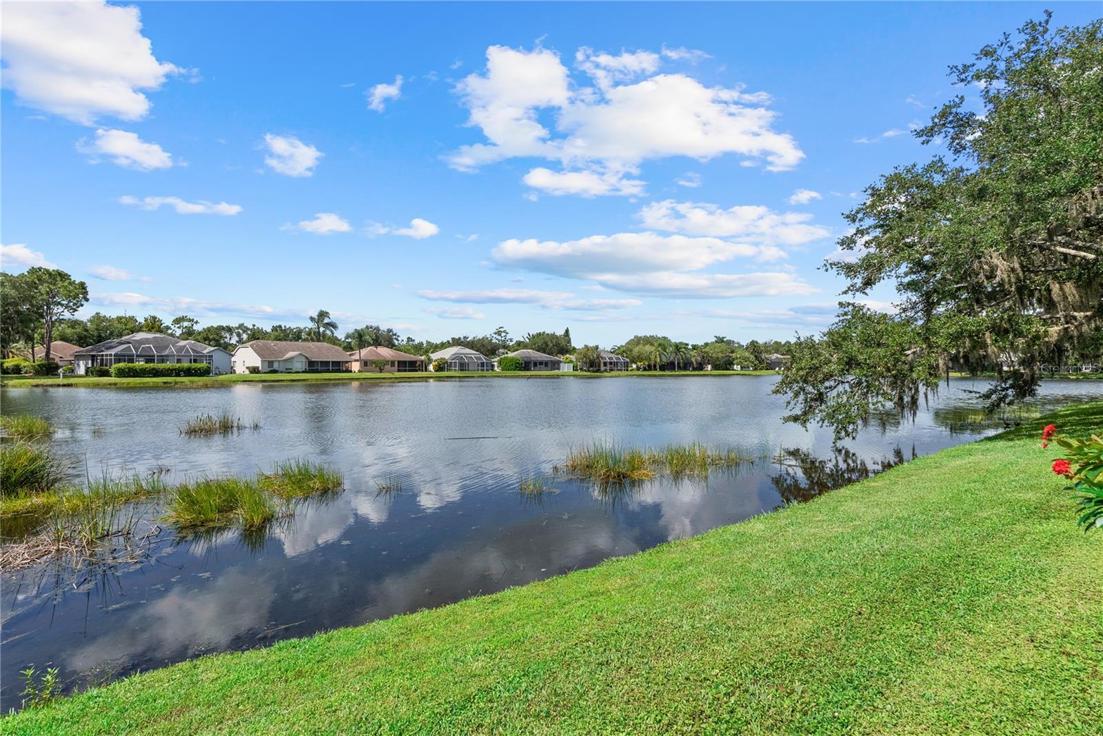 11326 BLUE SAGE PL — photo 42