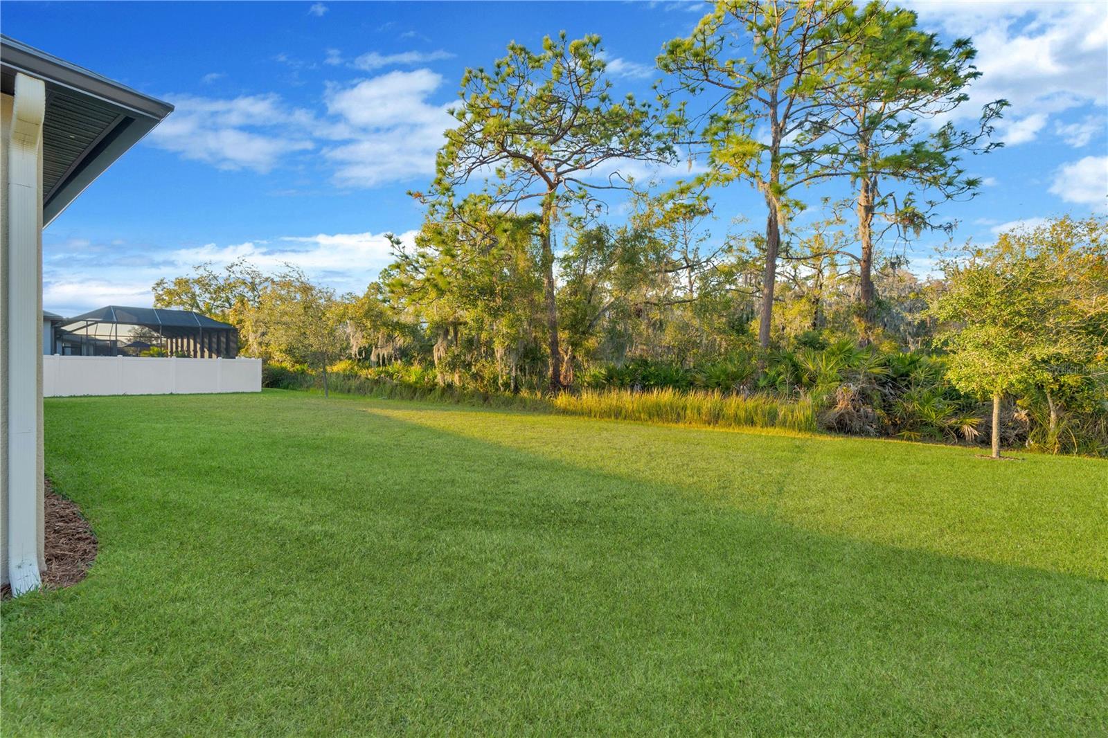 3908 GAVIOTA DR — photo 11