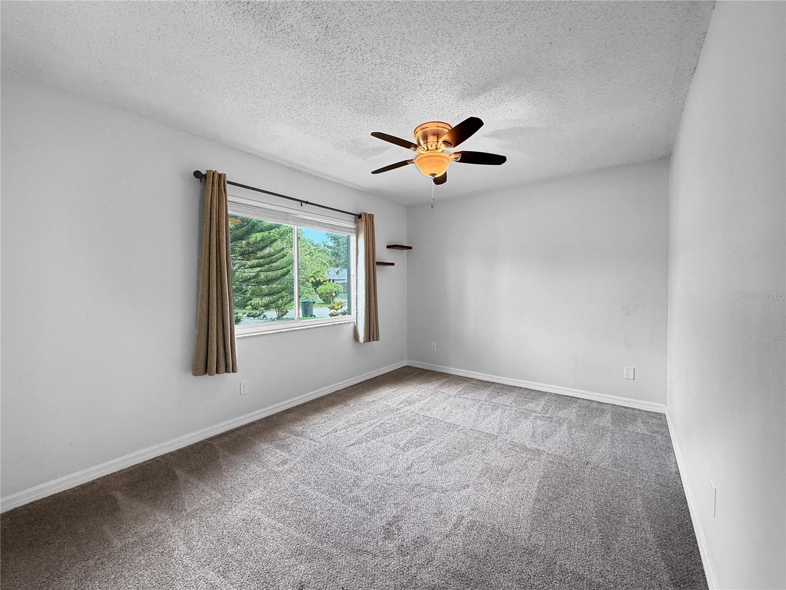 1583 REDWOOD AVE — photo 28