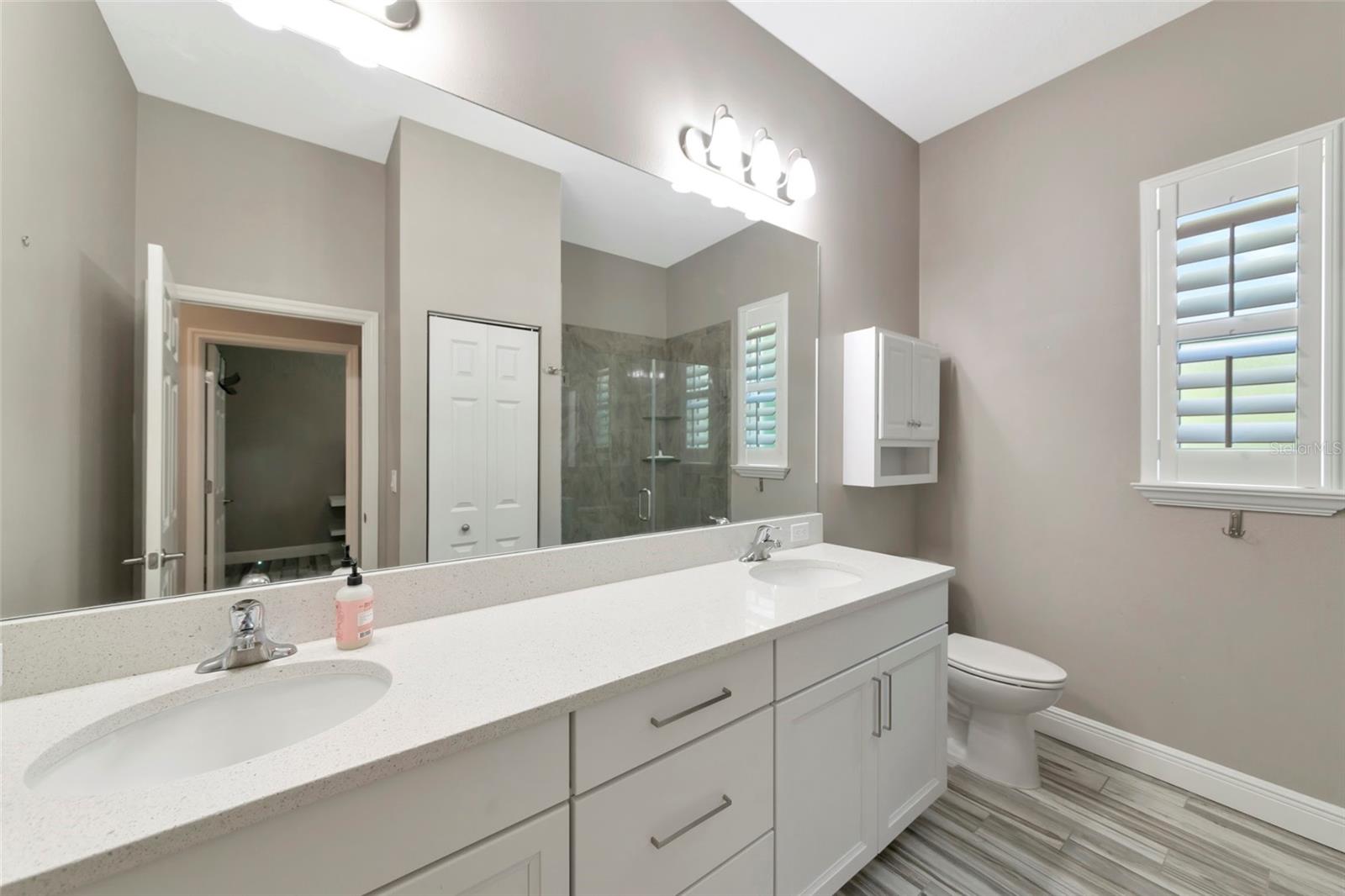 22209 DEER POINTE XING — photo 22
