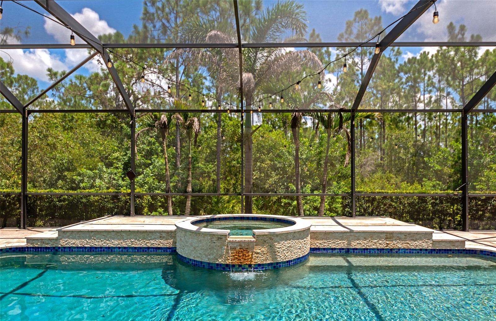 22209 DEER POINTE XING — photo 3