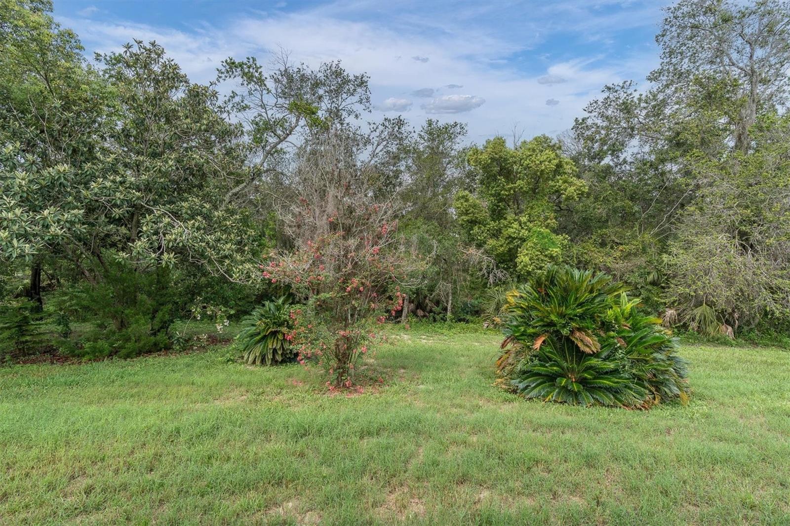 12227 DARWOOD DR #B — photo 23