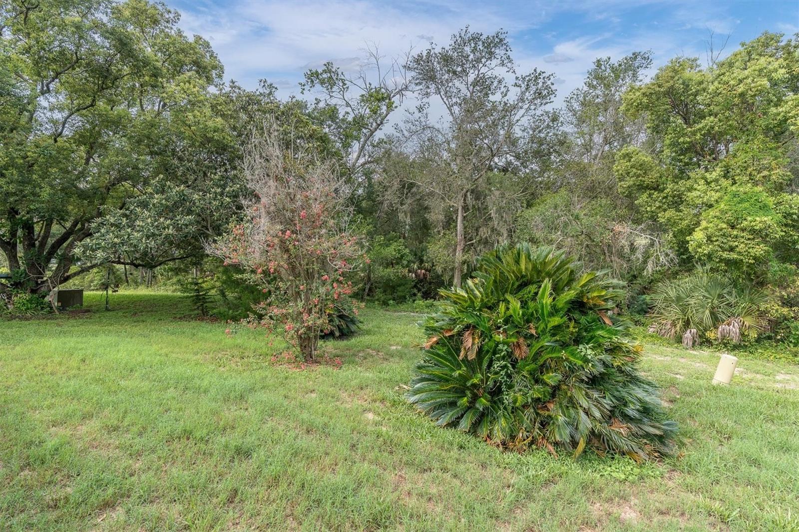 12227 DARWOOD DR #B — photo 24