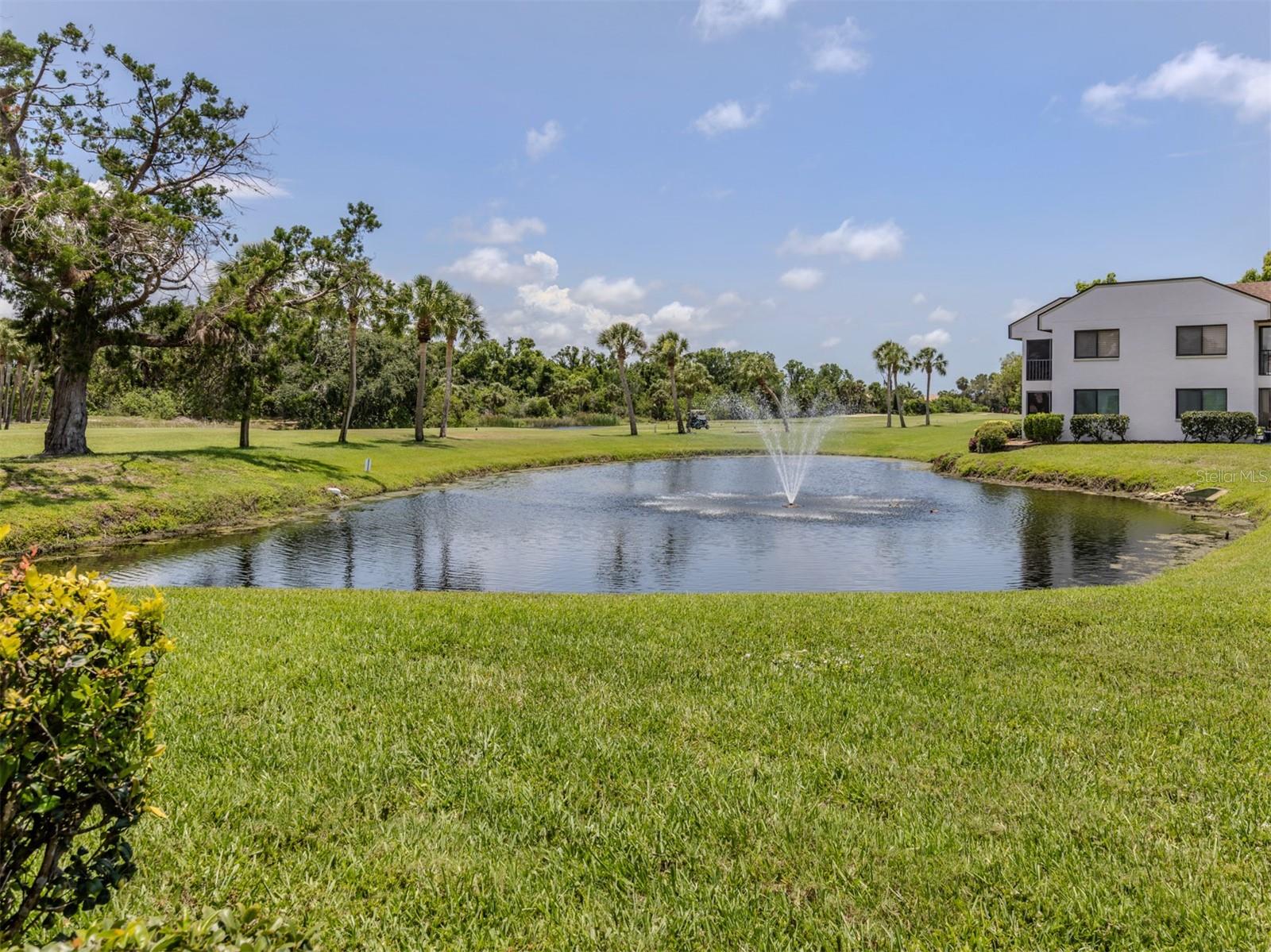 808 CAPRI ISLES BLVD #111 — photo 5