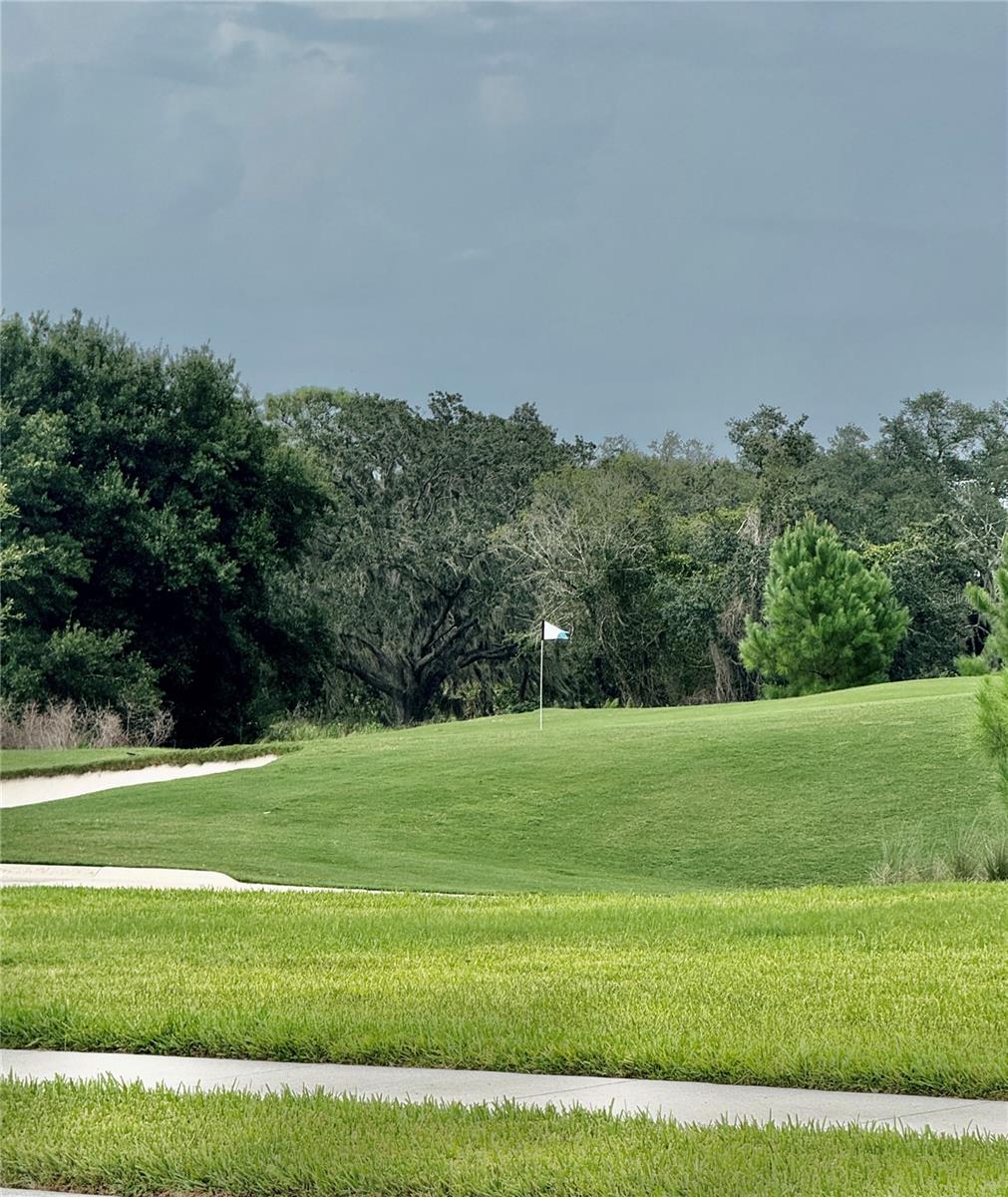 19227 SCALLOP LOOP — photo 10