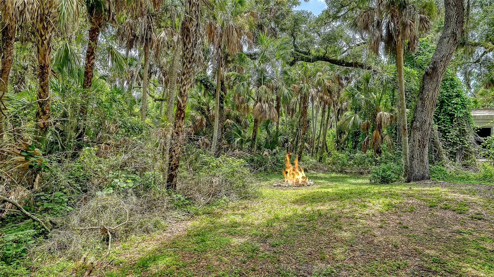 4498 HIDDEN RIVER RD — photo 37