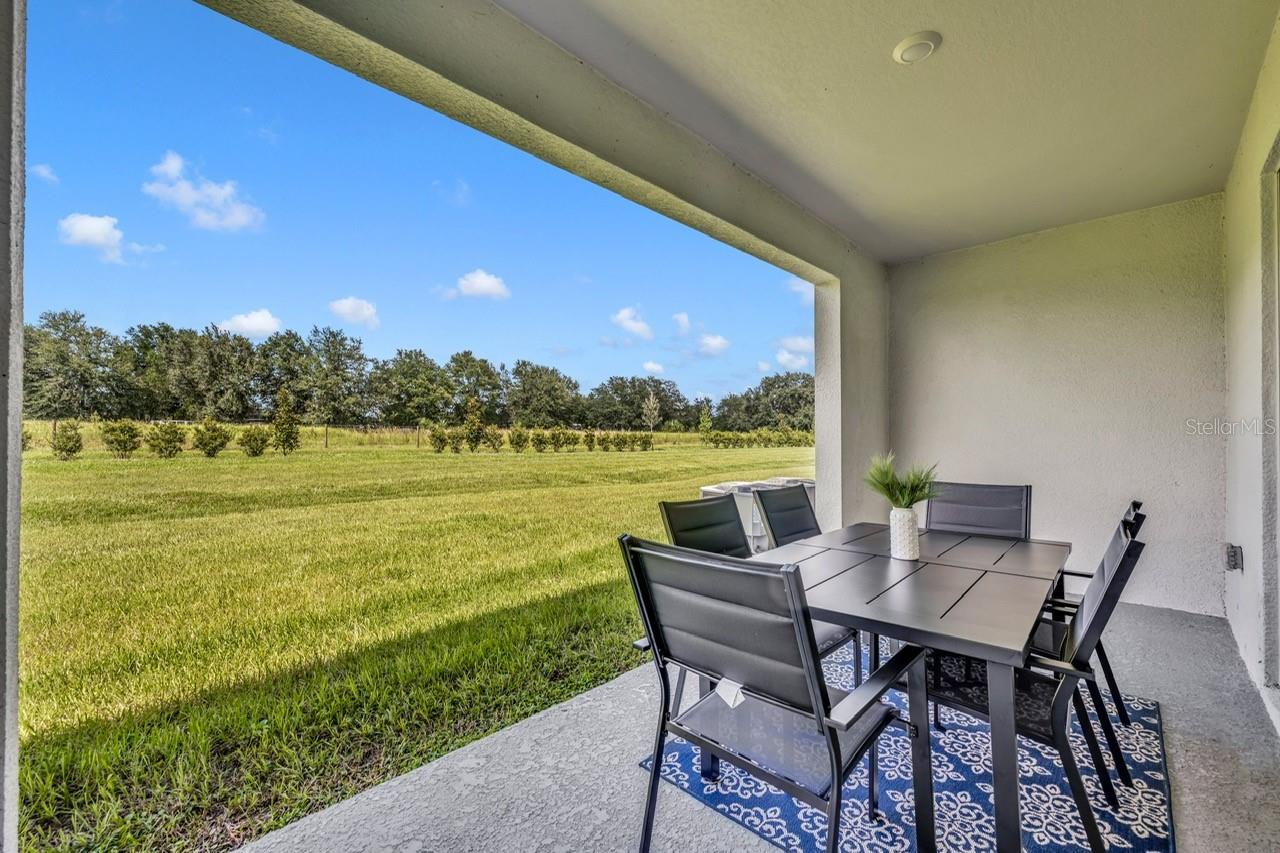 3534 MARIGOLD PATCH CT — photo 18